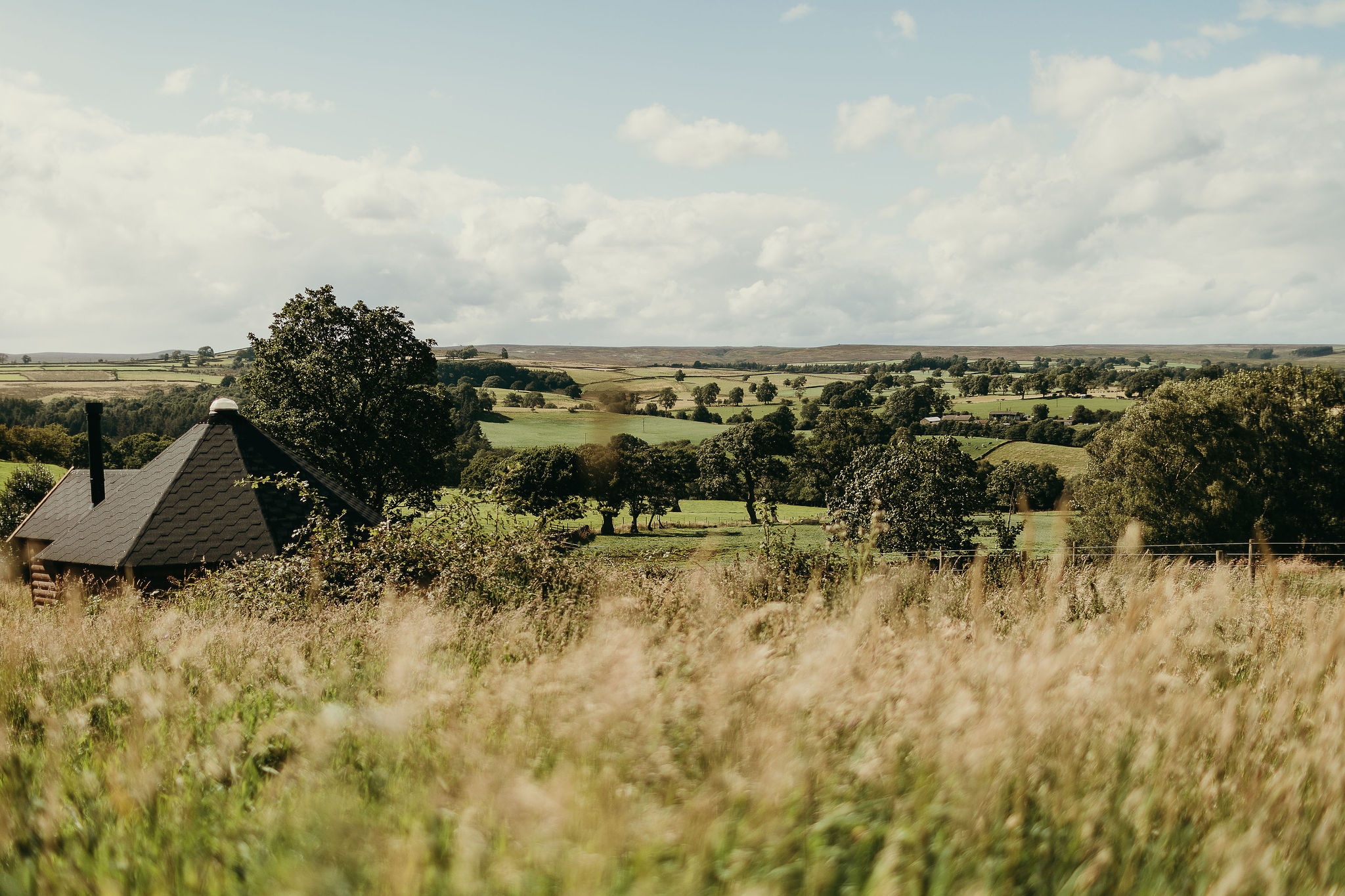 Little Seed Field