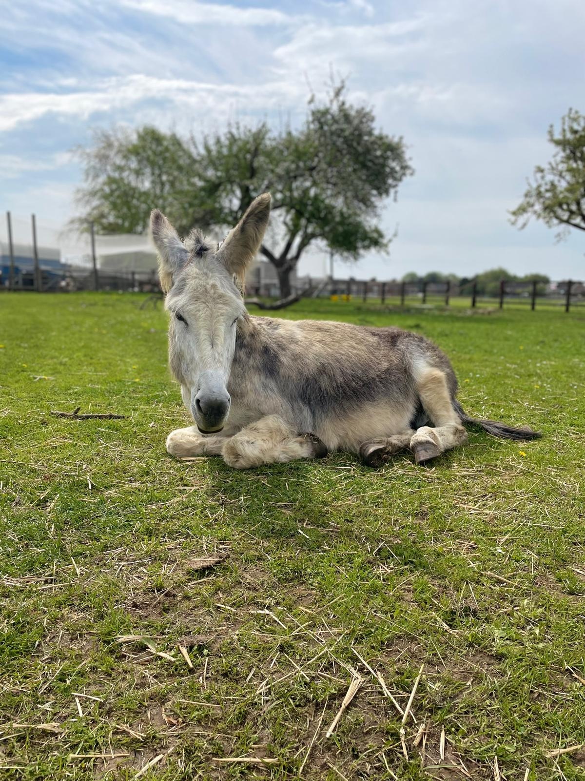 Fur & Fields Farm