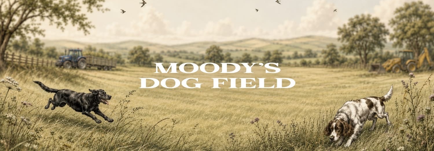 Moody's Dog Field
