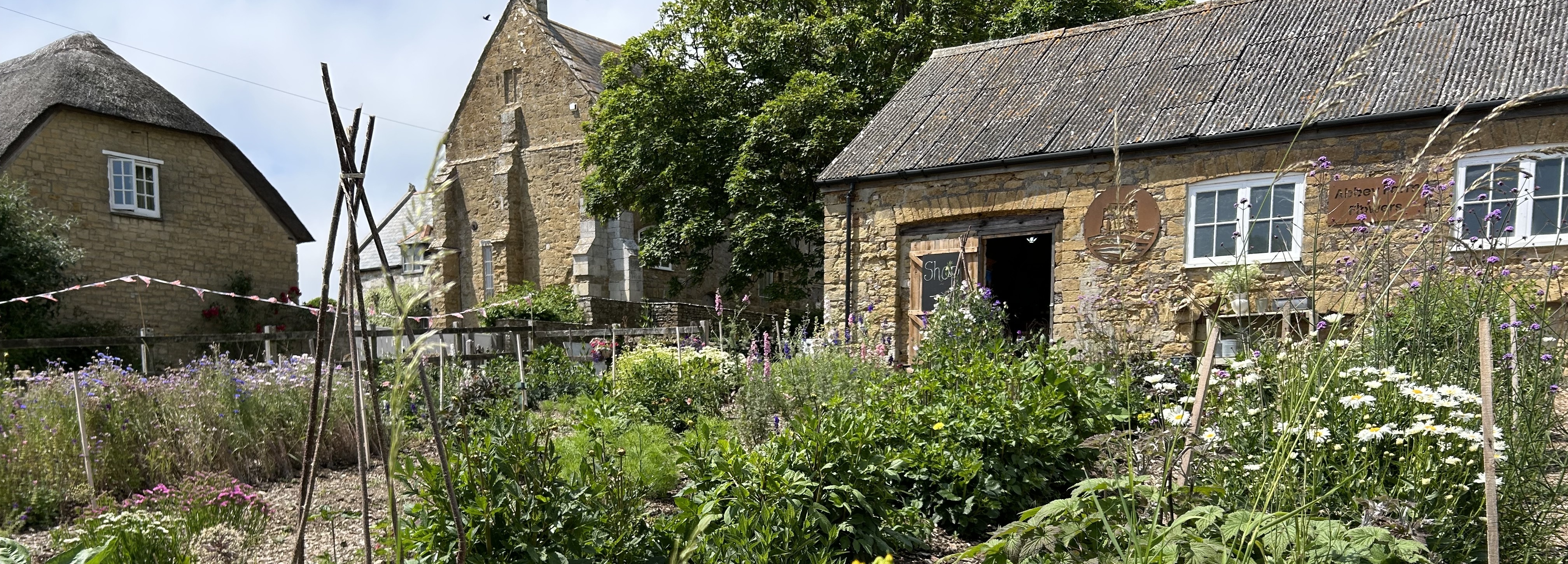 Abbey Farm Flowers
