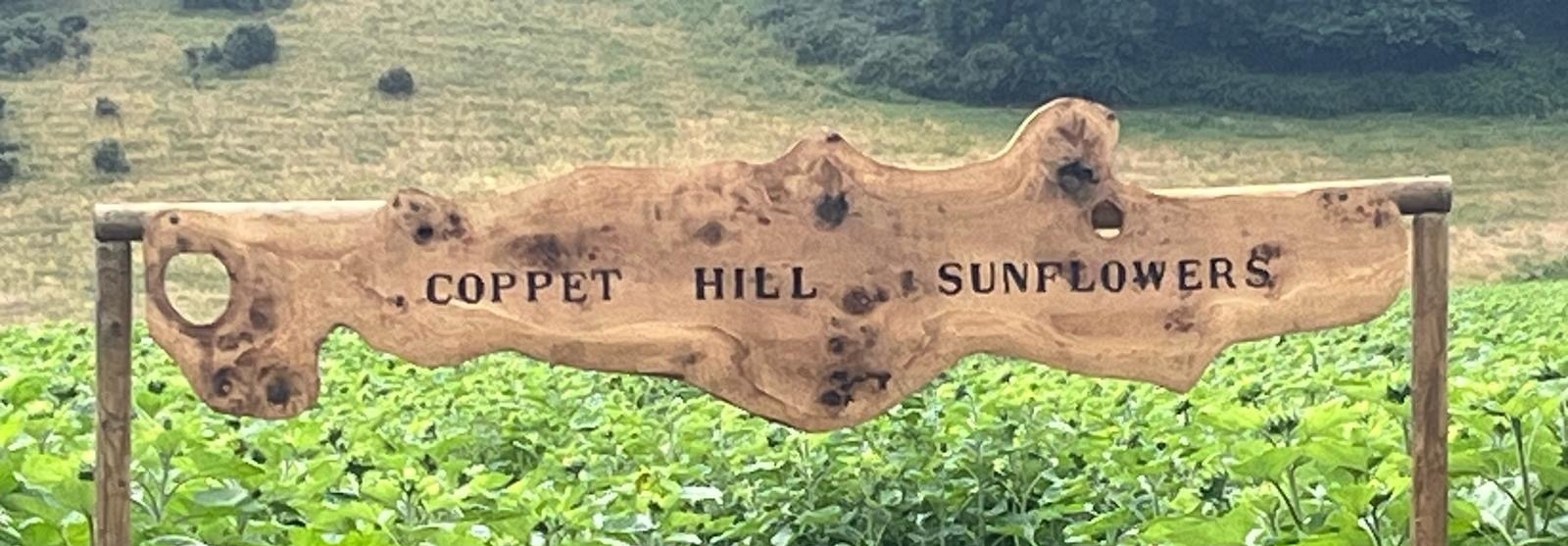 Coppet Hill