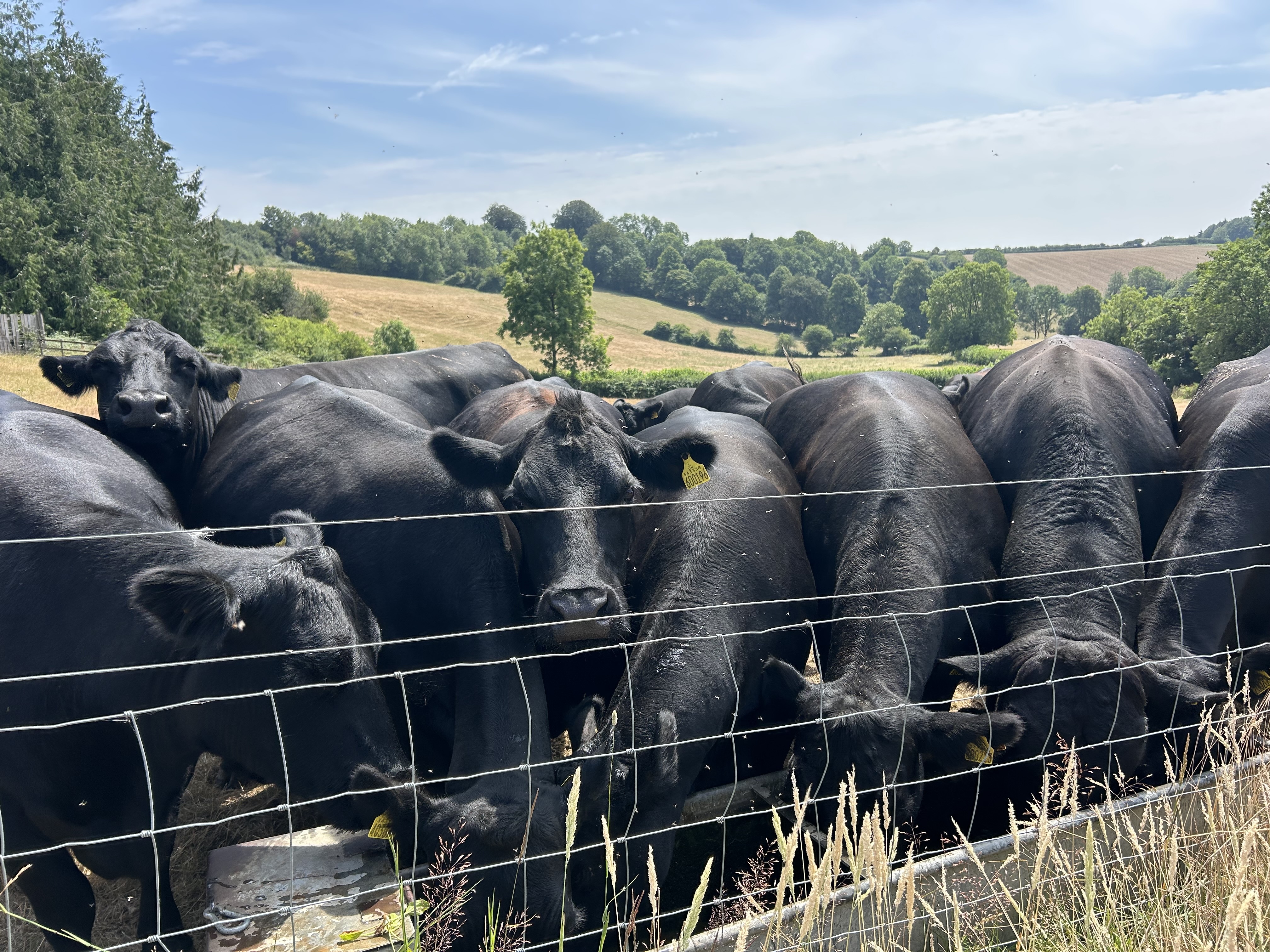Wambrook Farm Retreats & Events