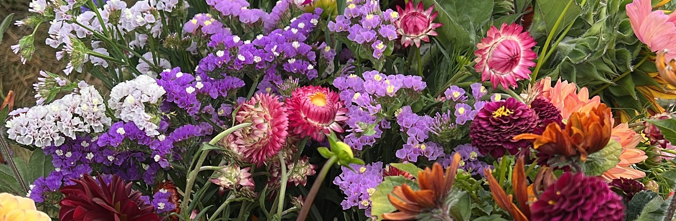 Haze flower farm