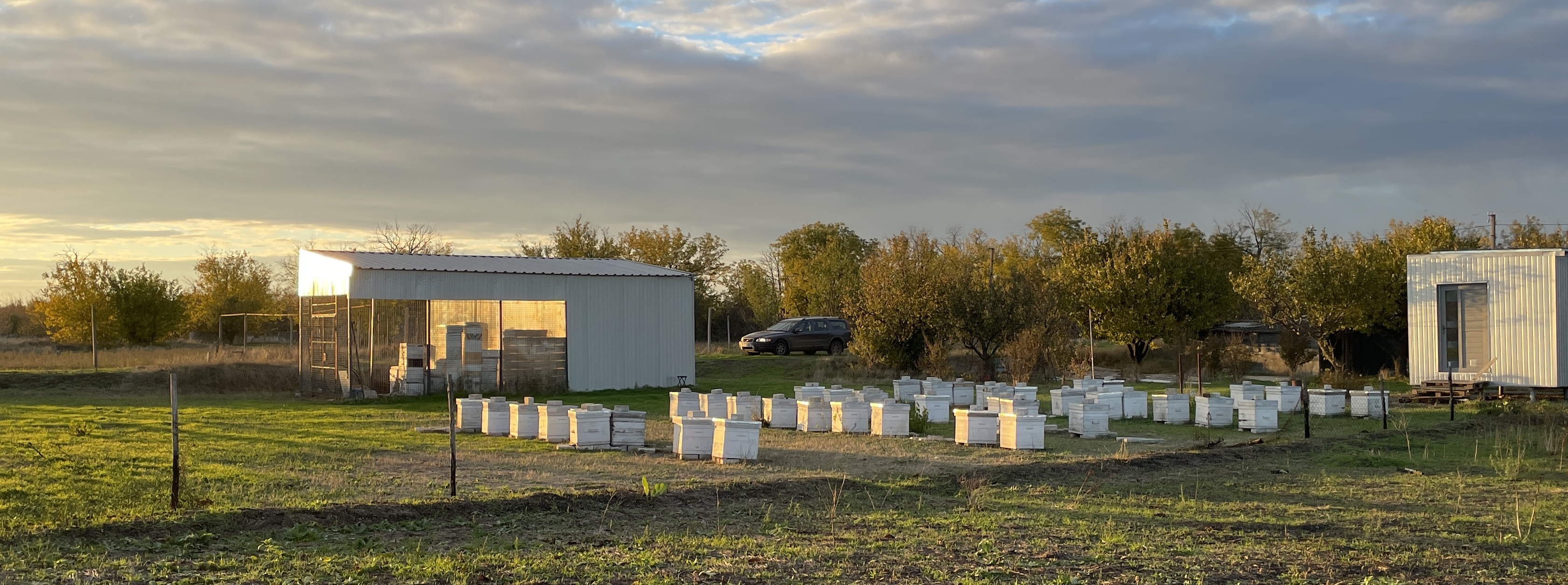 Fedosov Family Farm