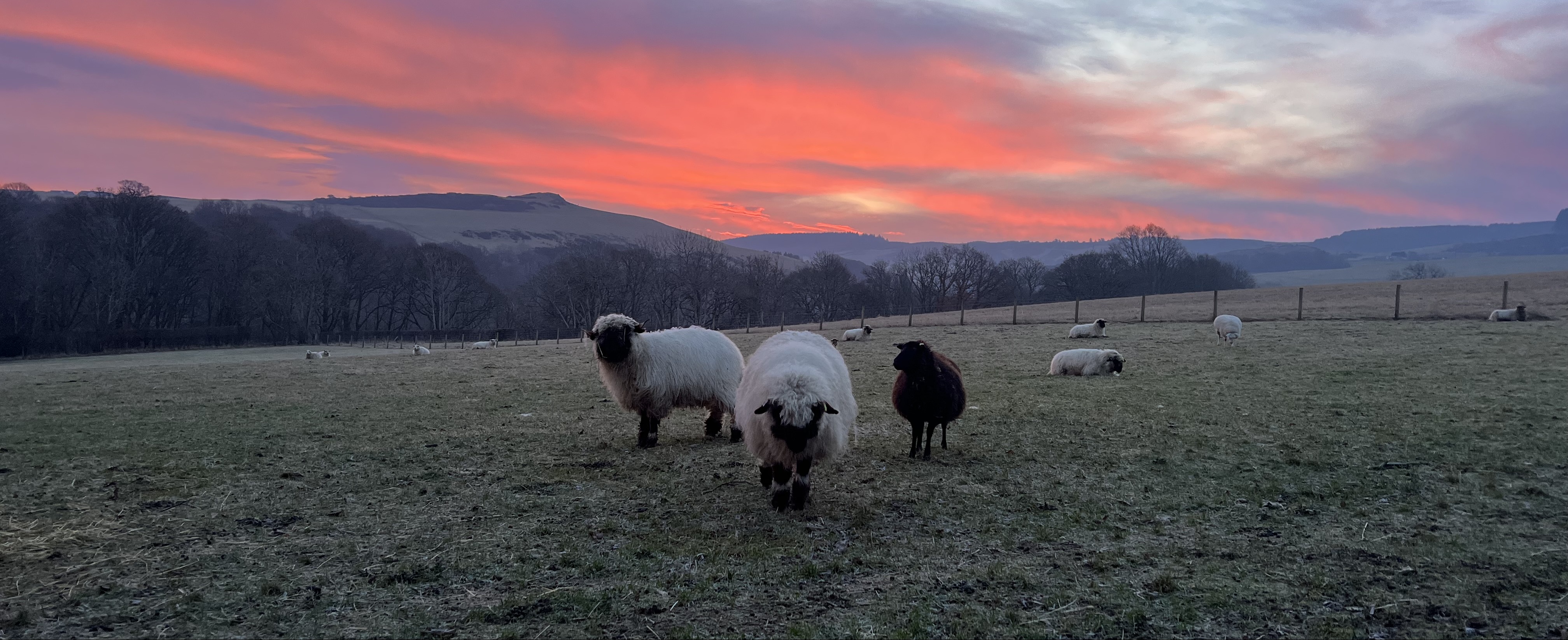 Pitmeadow Farm