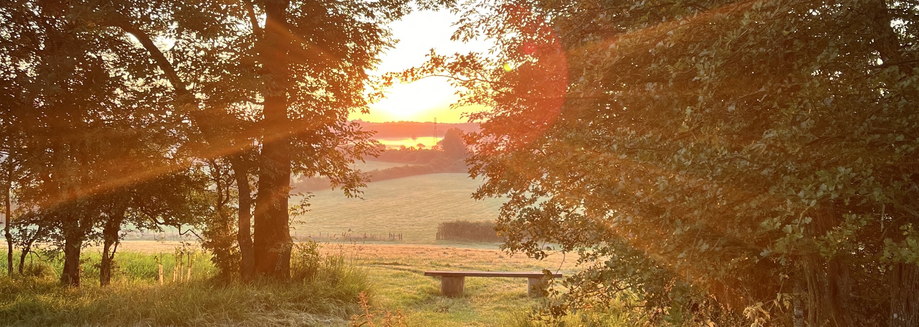 Park Farm Campsite