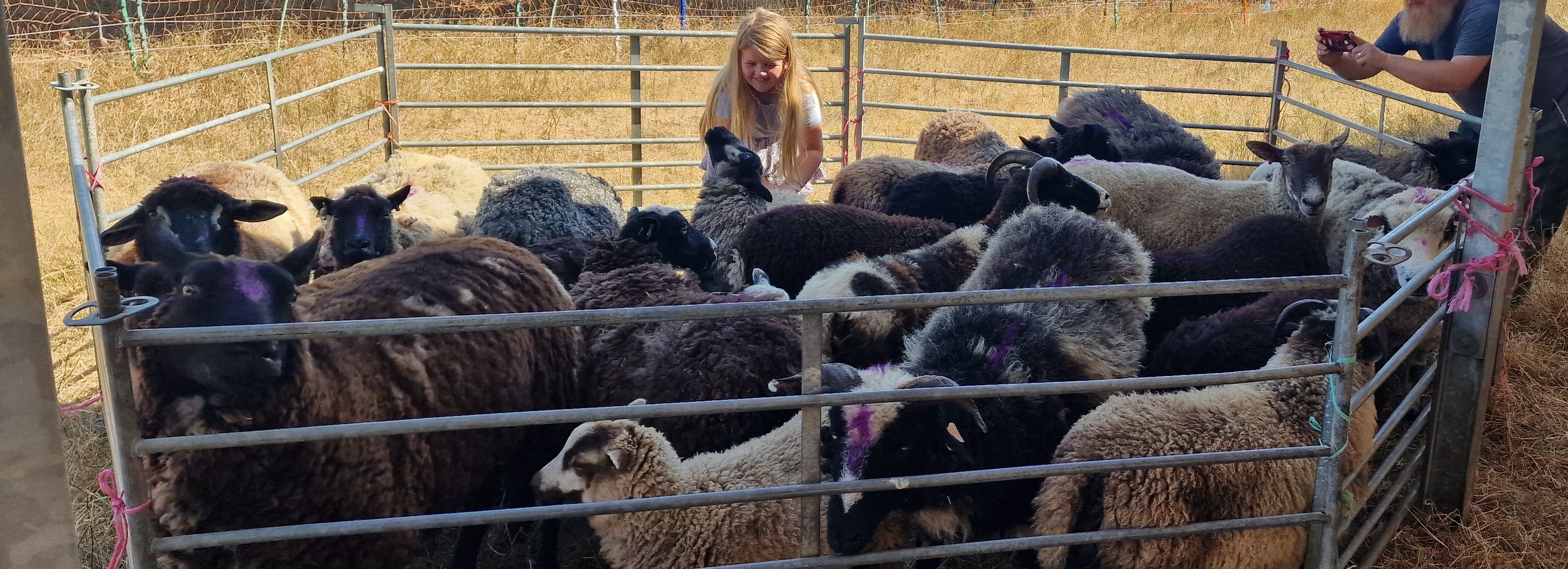 The Little Spiral - rare breed and fibre flock