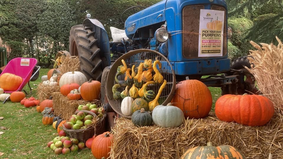 Tyrrell's Farm