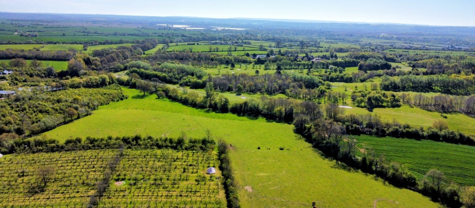 The Apple Farm
