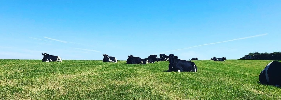 Fforest Farm