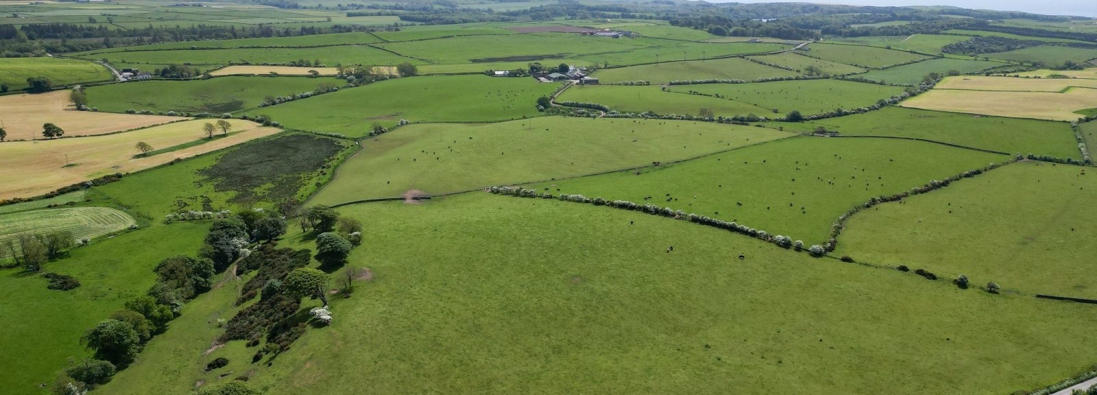 Landberrick Farm