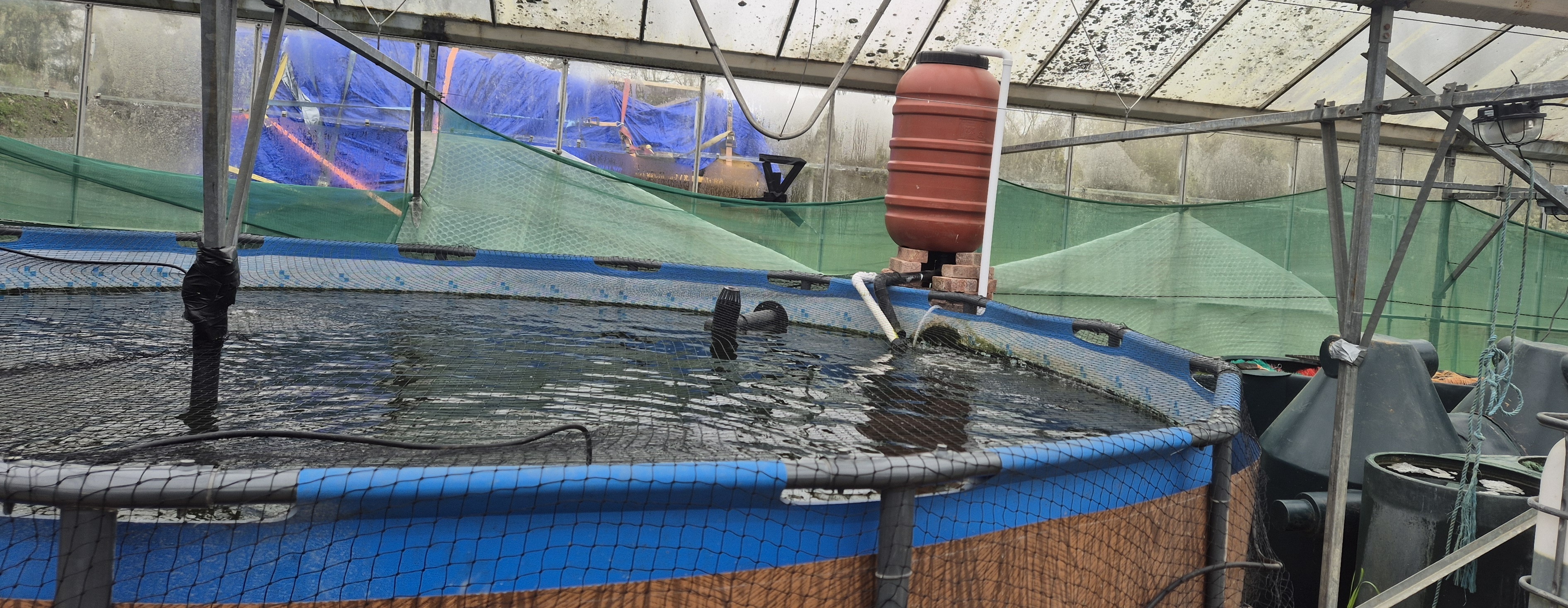 New Forest Aquaponics CIC