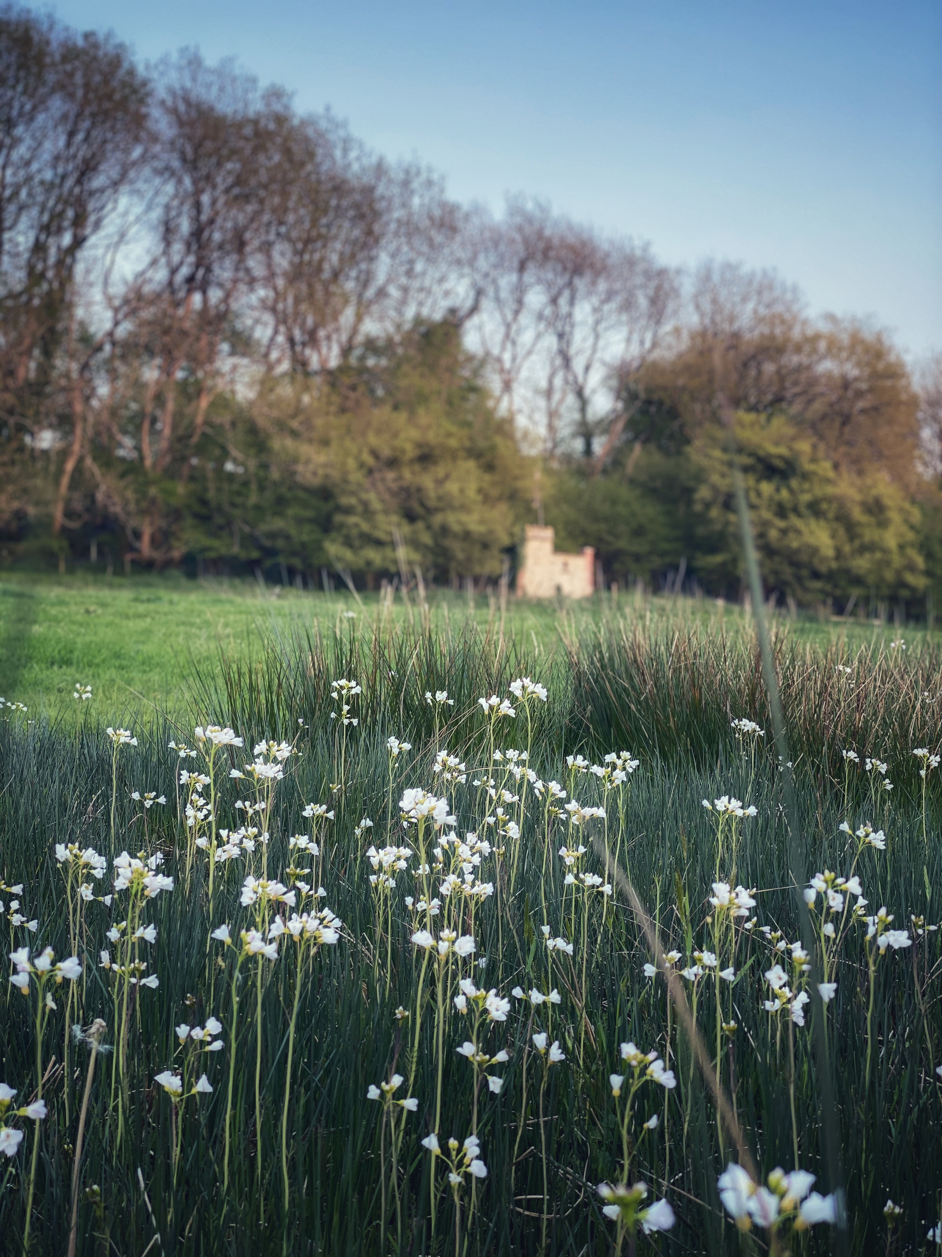 Dorset Escape
