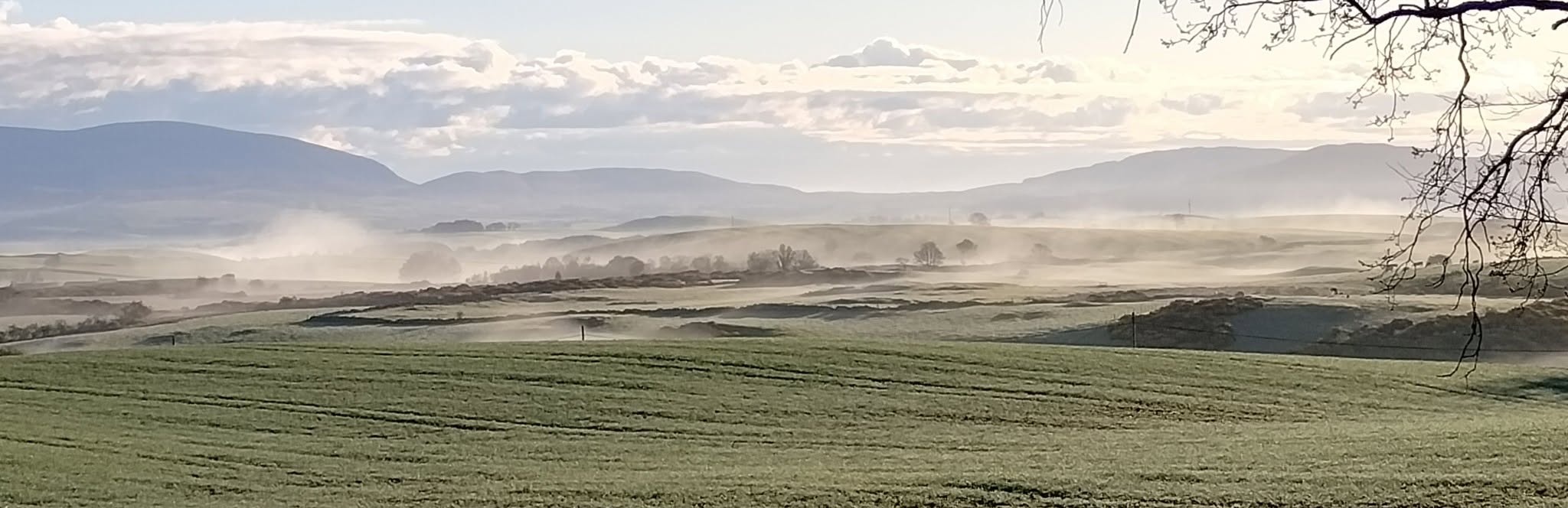 Airlies Farm