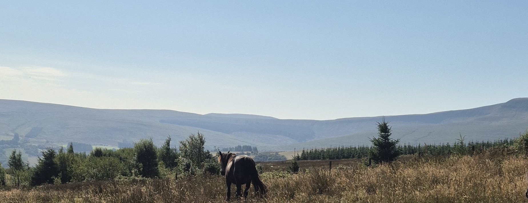 AberGlamping in the Brecon Beacons