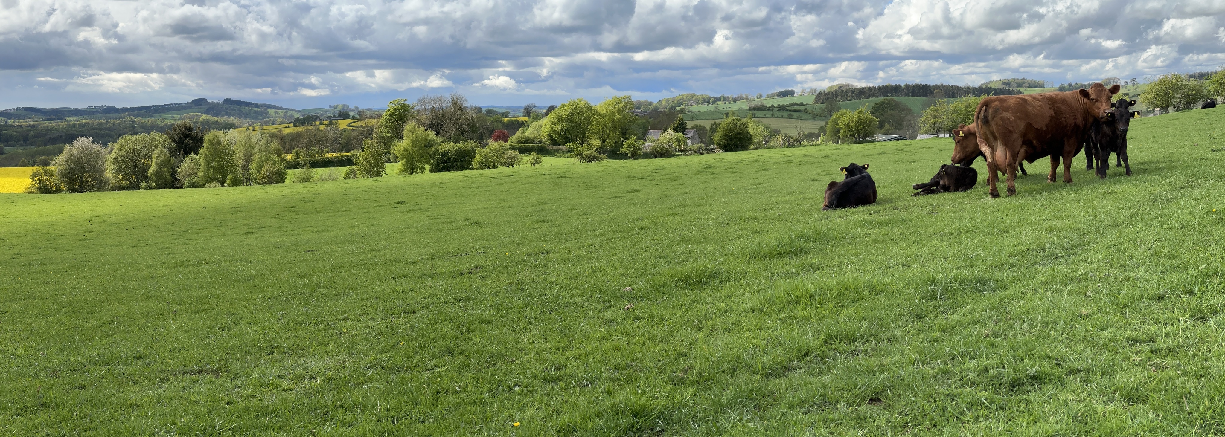 Southlands Farm and Cottages