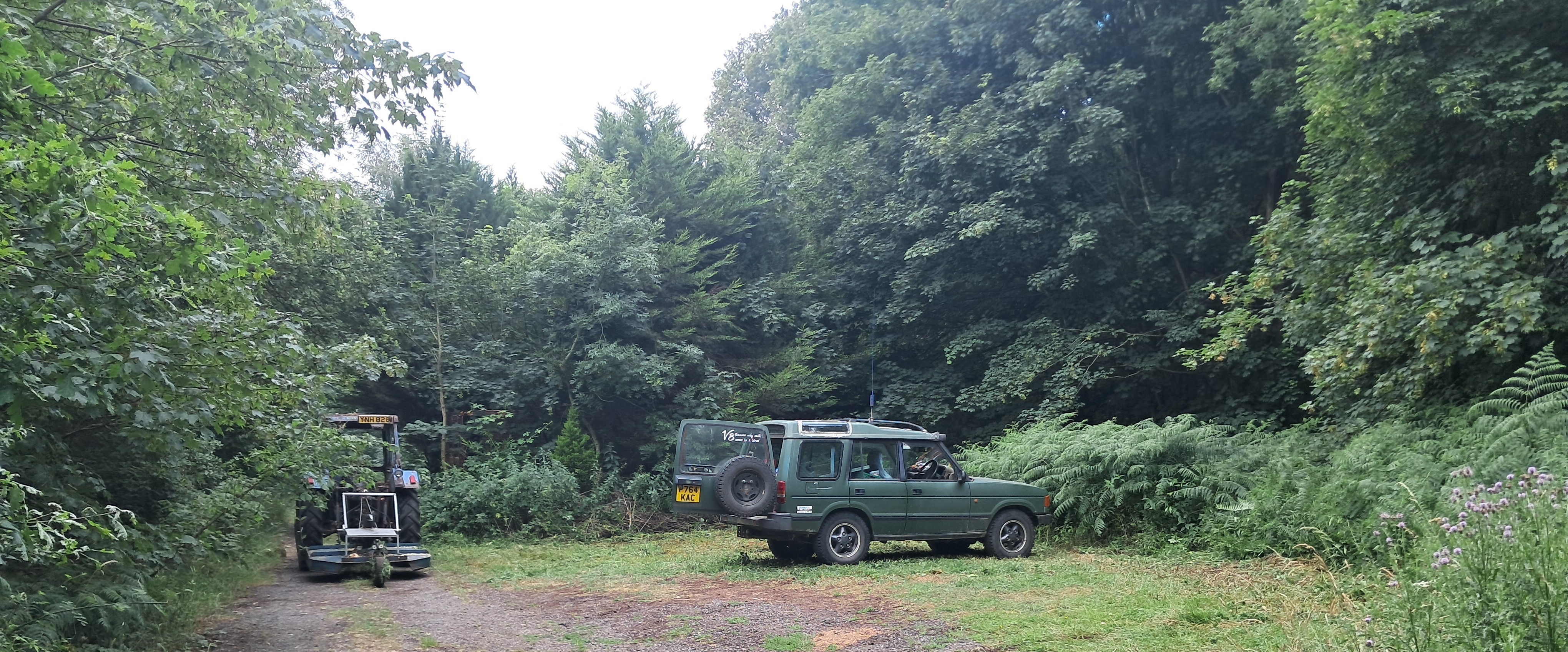 Shortgrove Wood
