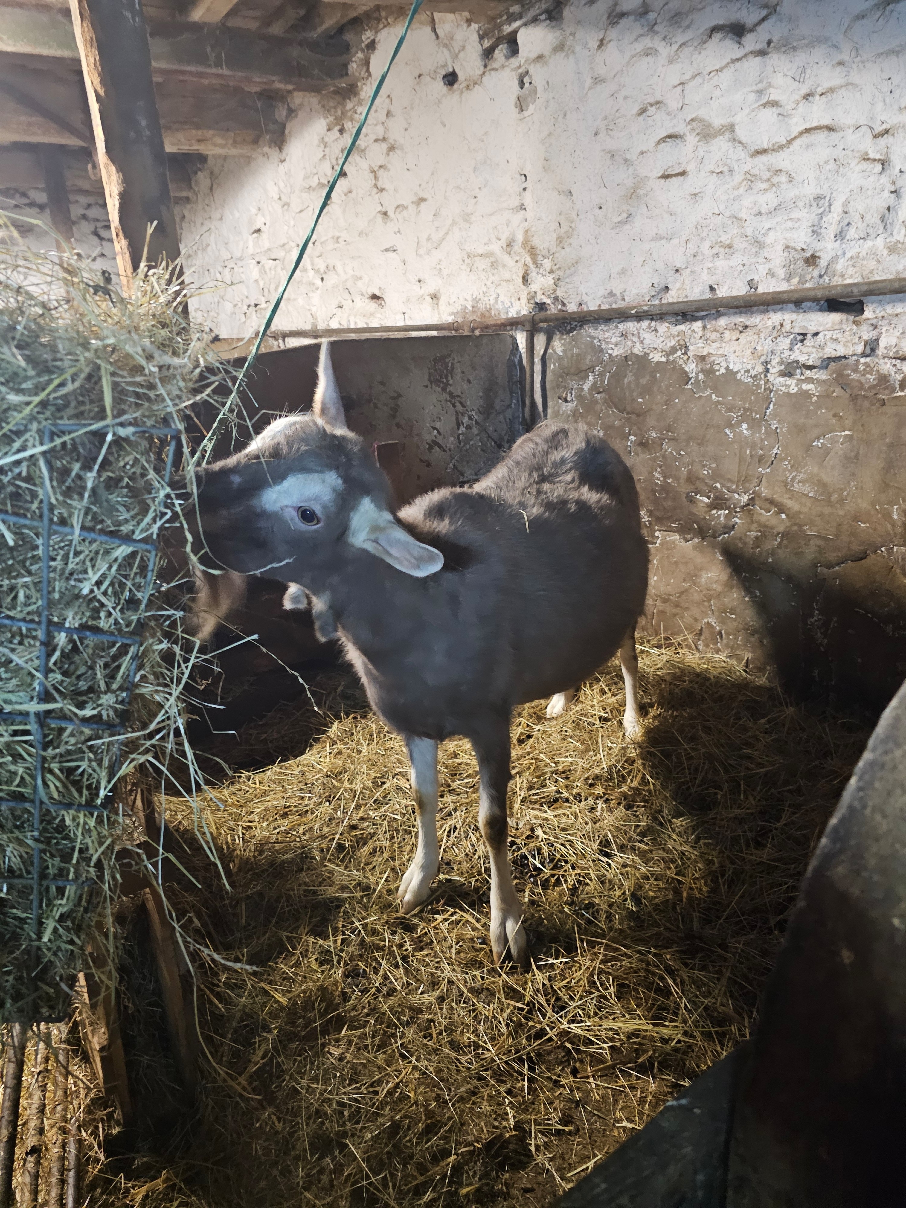 Park House Farm
