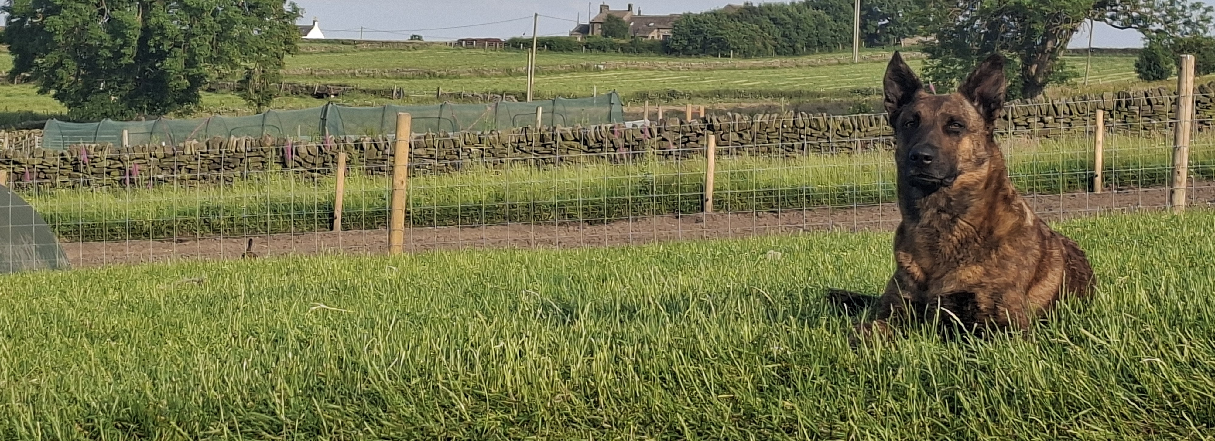 Syke House Farm
