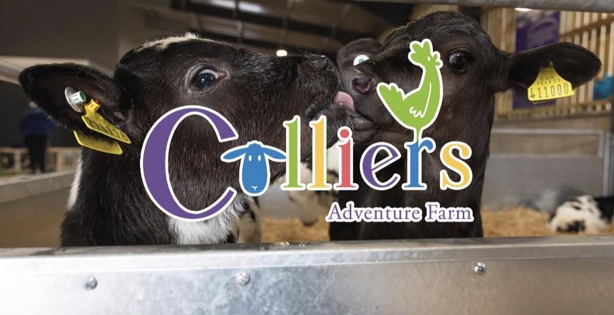 Colliers Adventure Farm