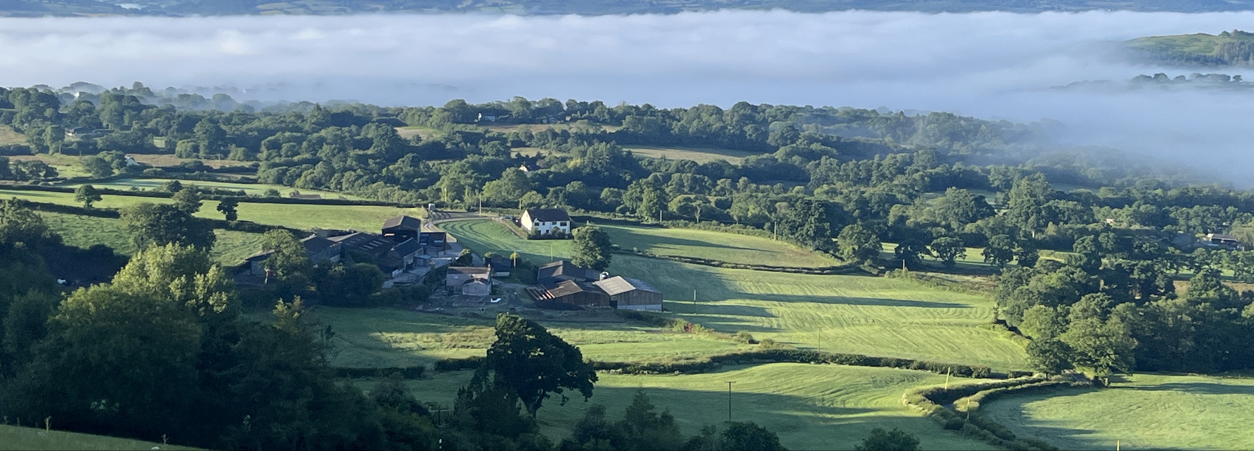 Maes Y Bryn Farmhouse