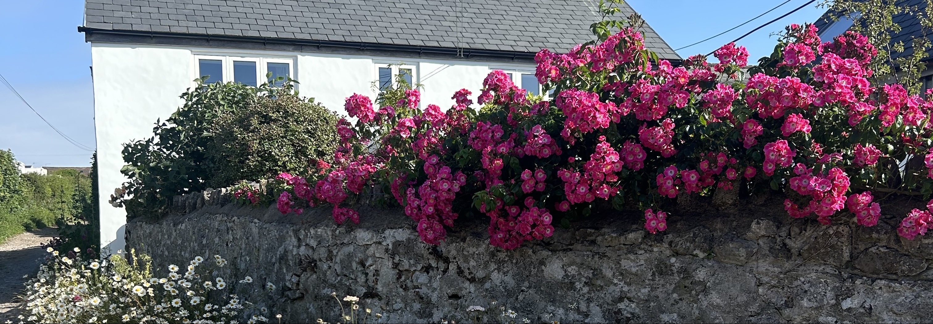 The Side at Westernside Cottage Farmhouse