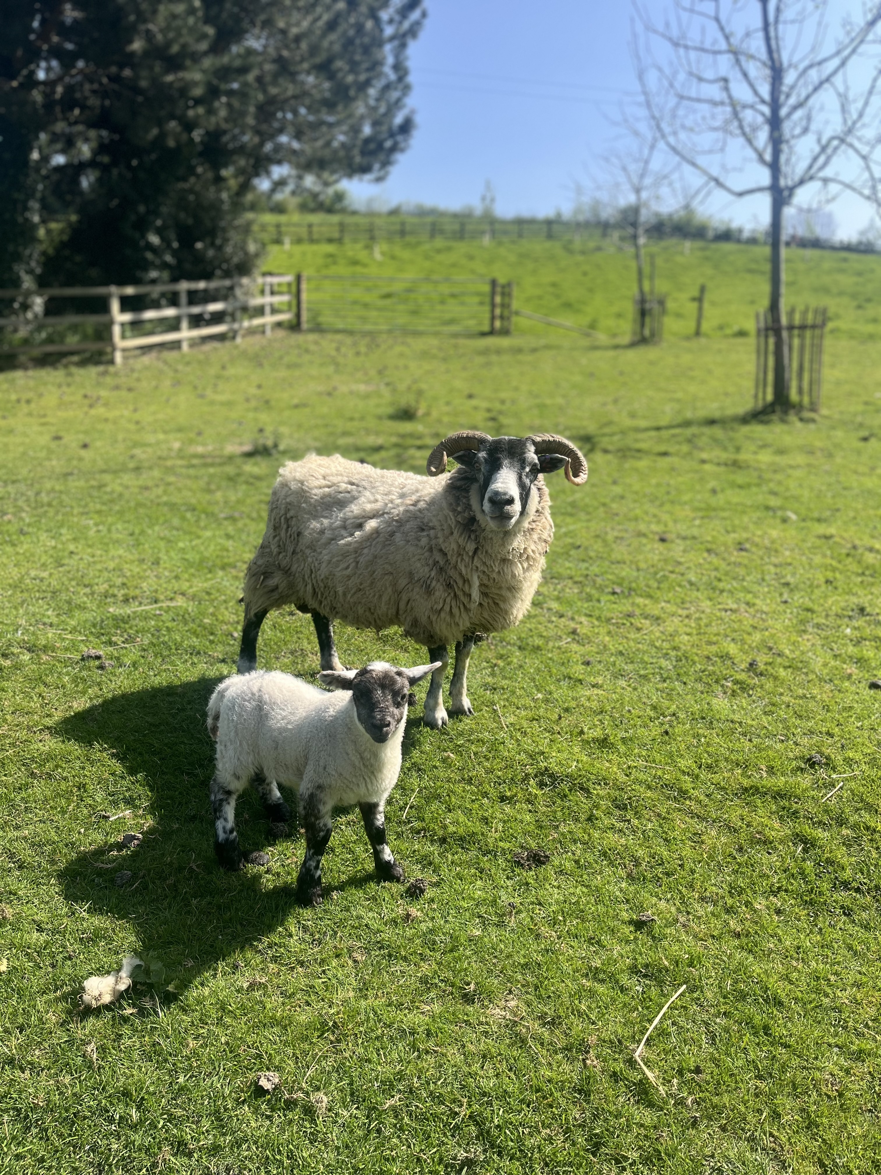 Coldharbour Farm