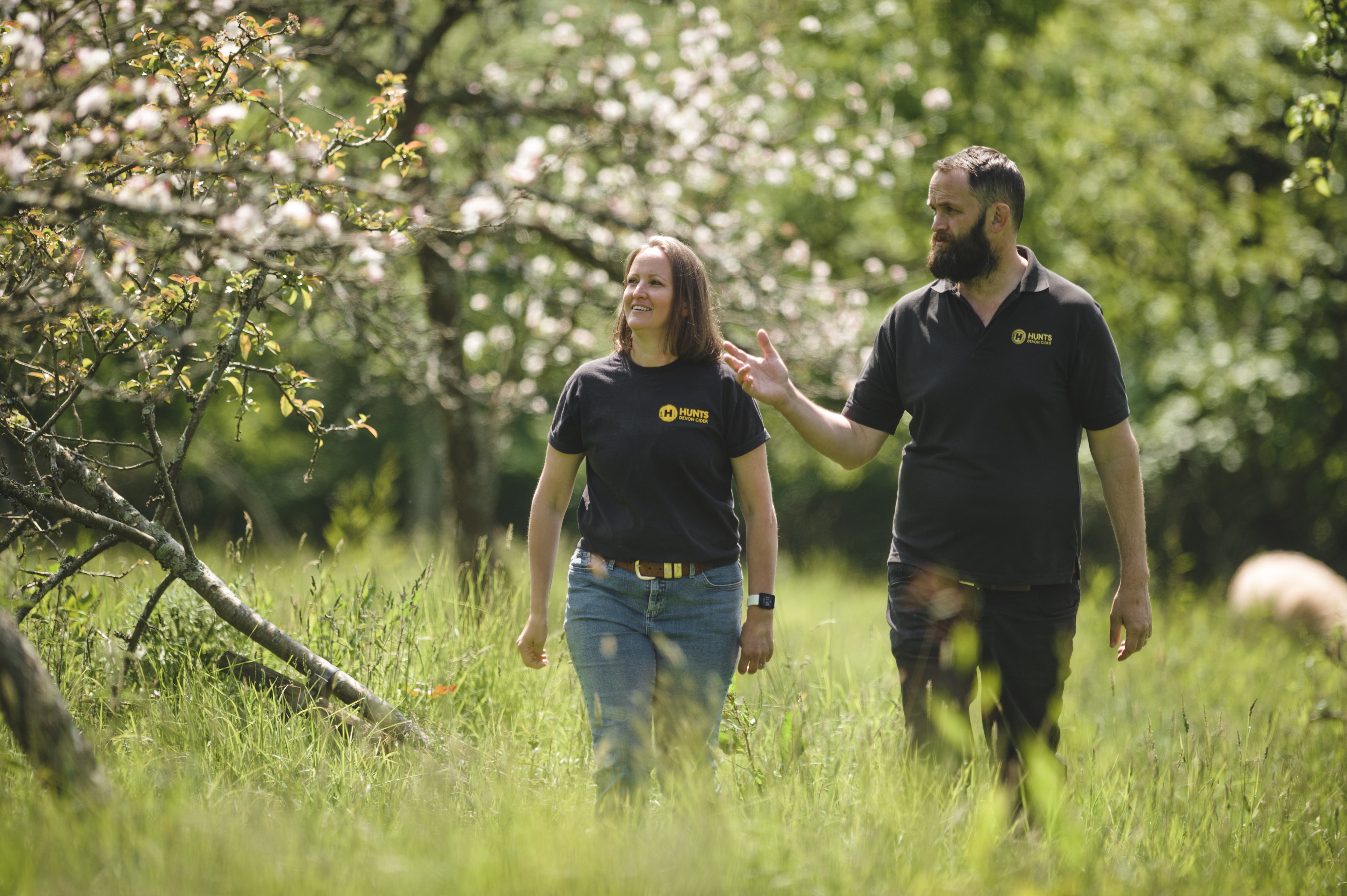 Hunts Cider