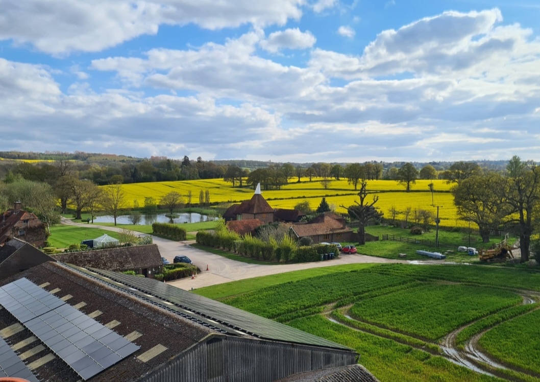 Lingfield lodge farms