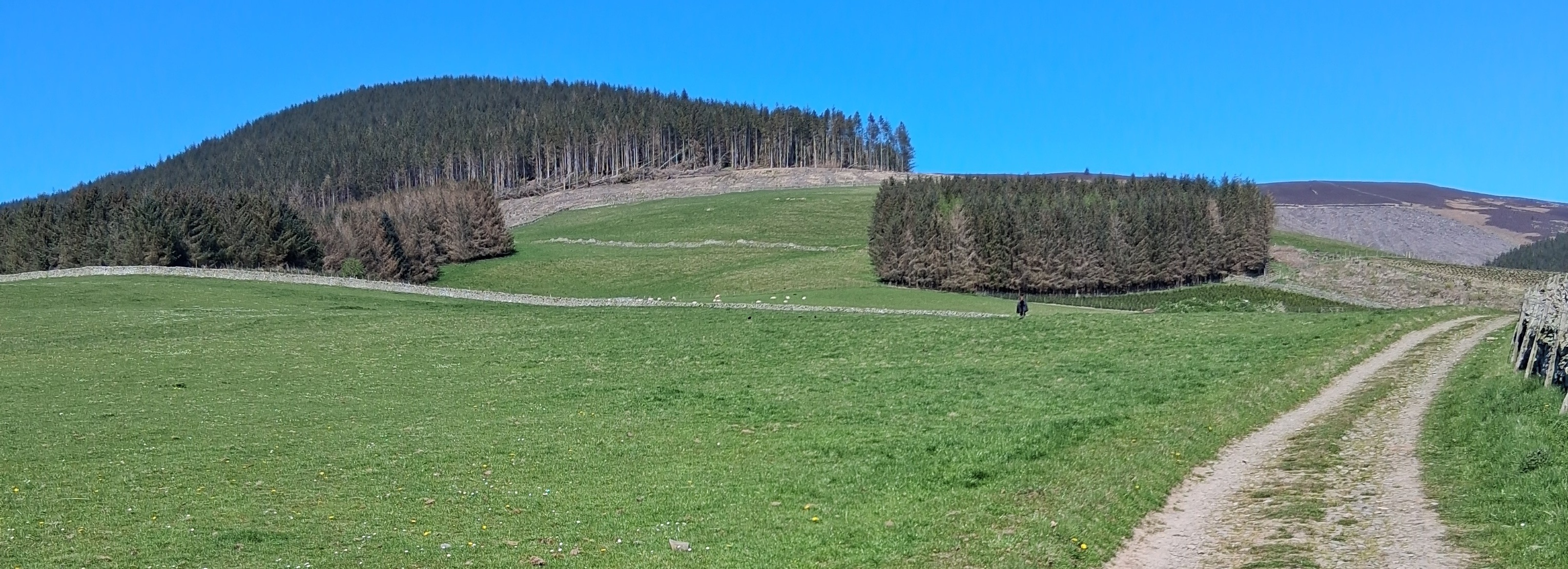 Caberston Farm