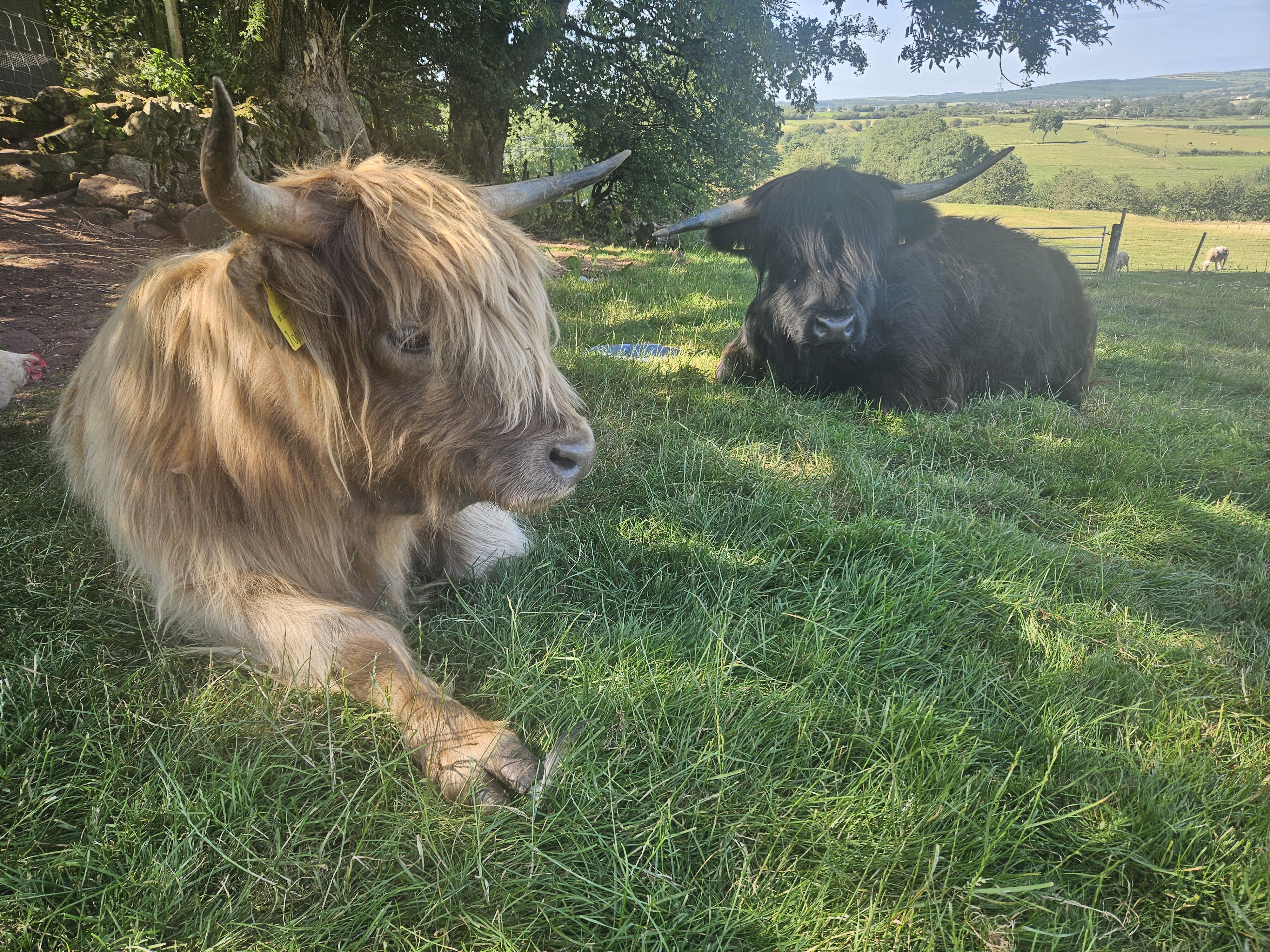 Orebank Farm