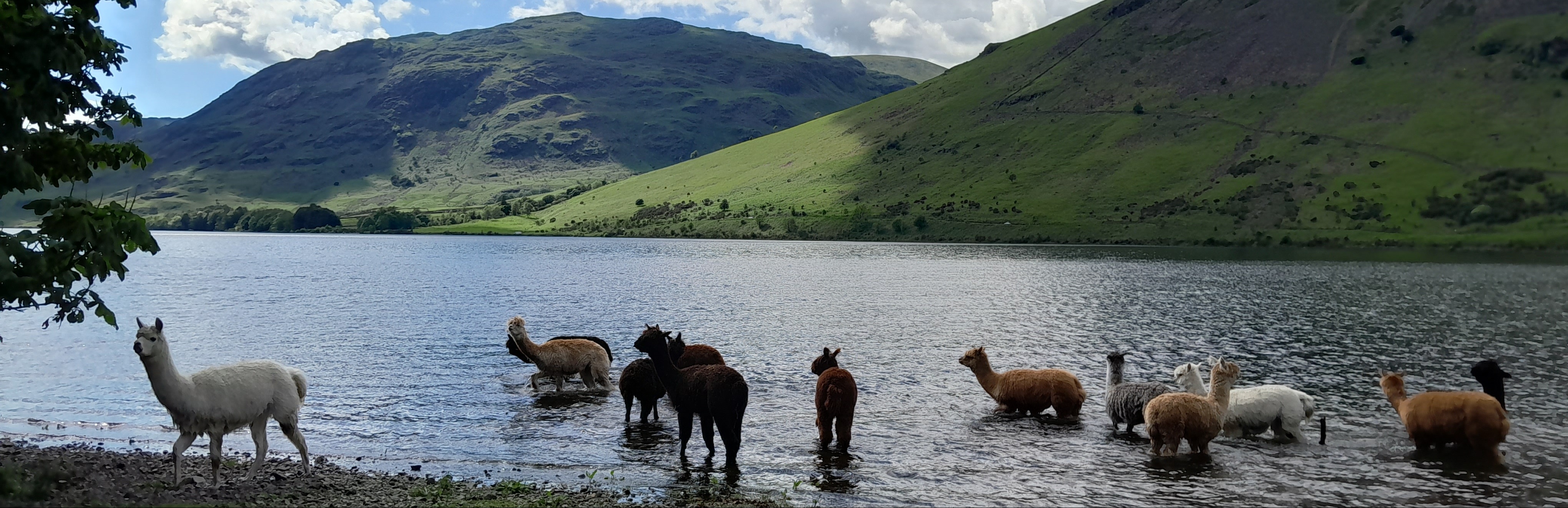 Wasdale Head Hall Farm