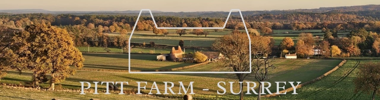 Pitt Farm Surrey