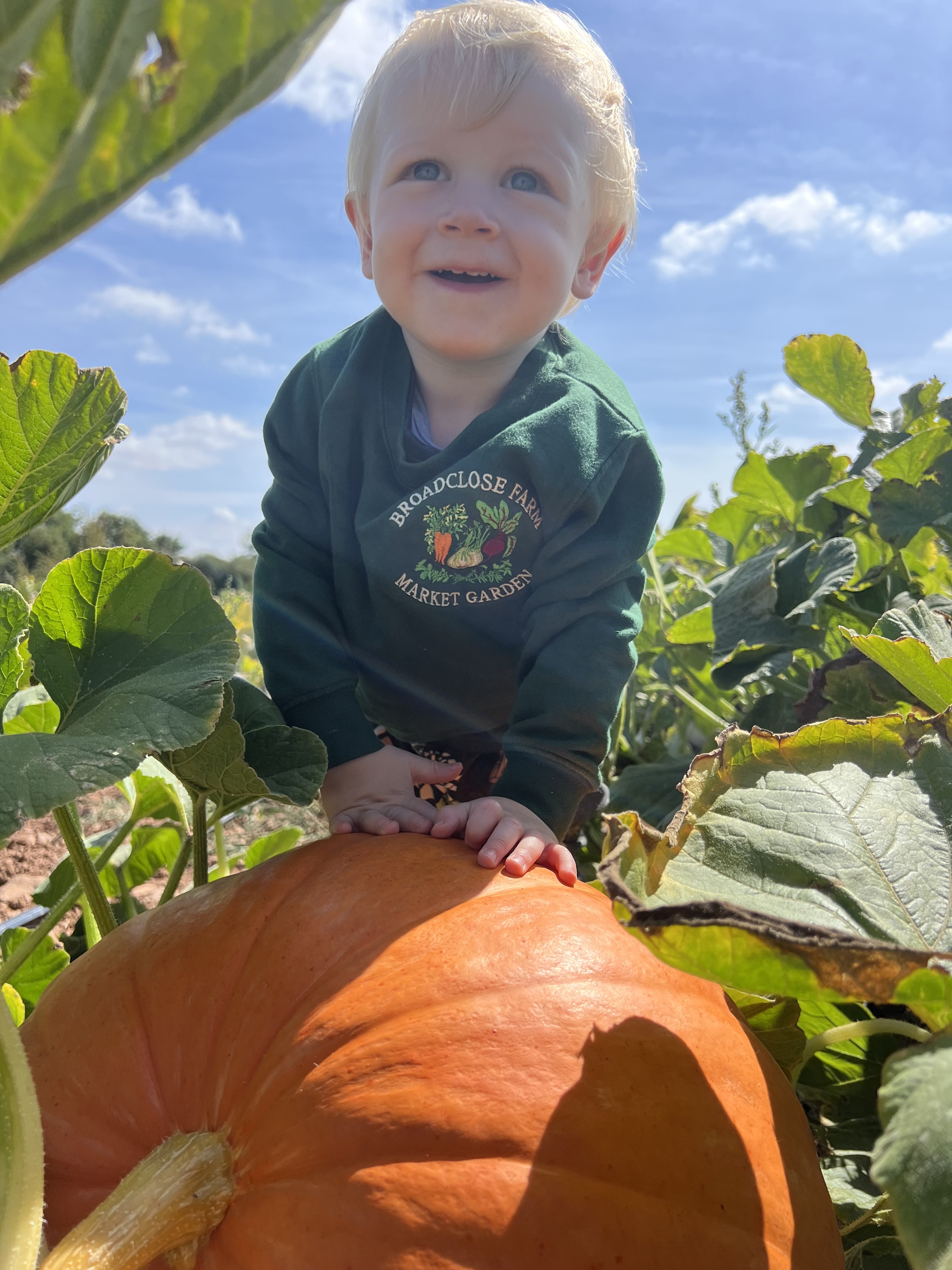 Pick Your Own Pumpkins at Broadclose Farm Market Garden, Nomansland