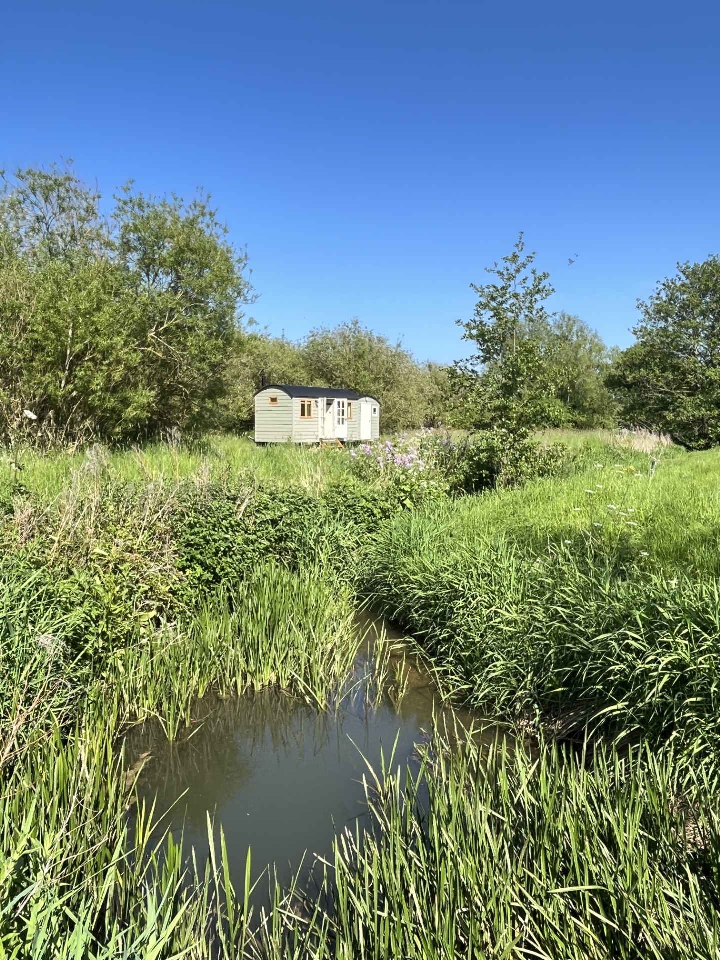 Idyllic Shepherd's Hut Getaway