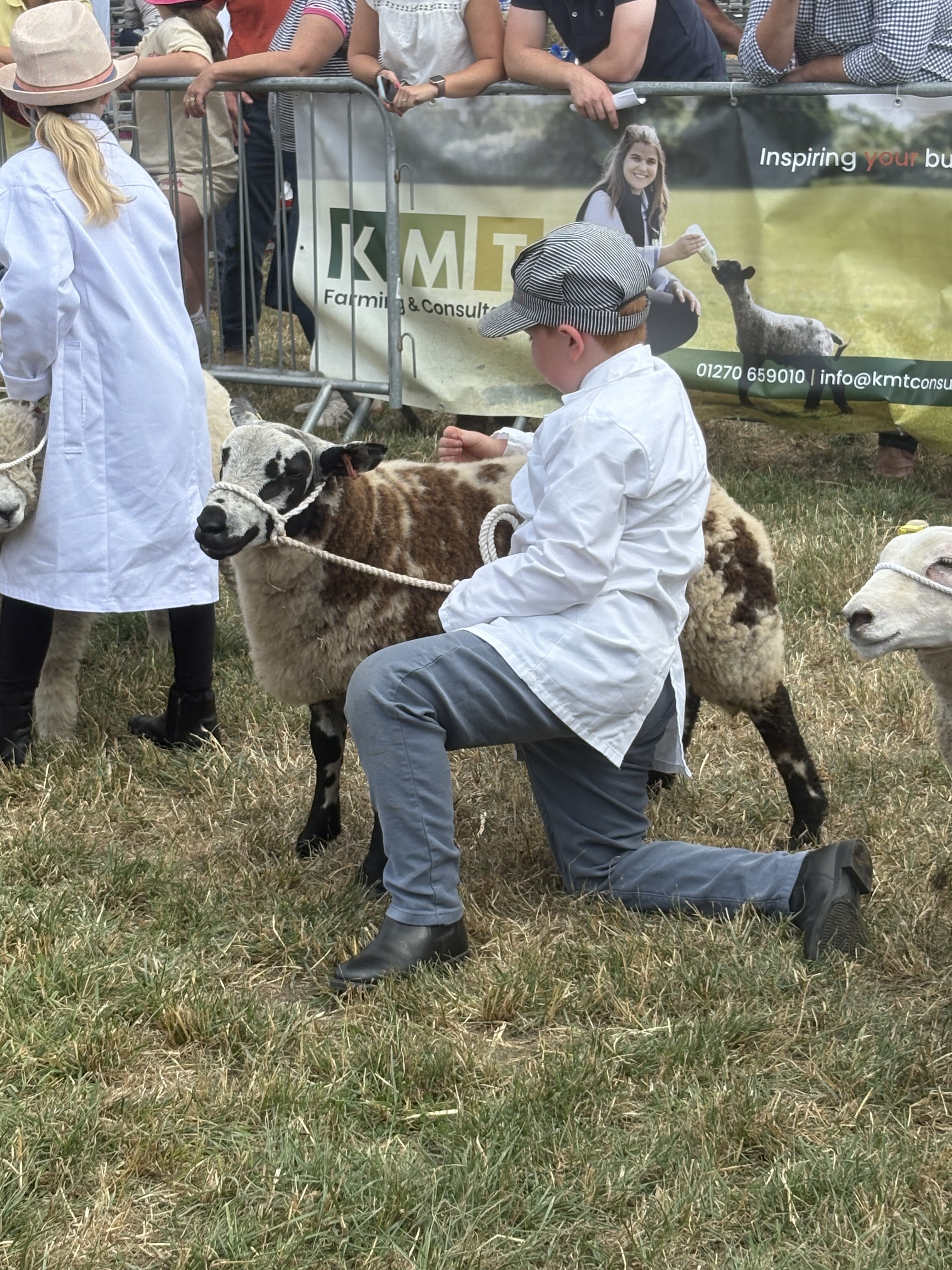 Meet Jeremiah the Dutch spotted lamb 