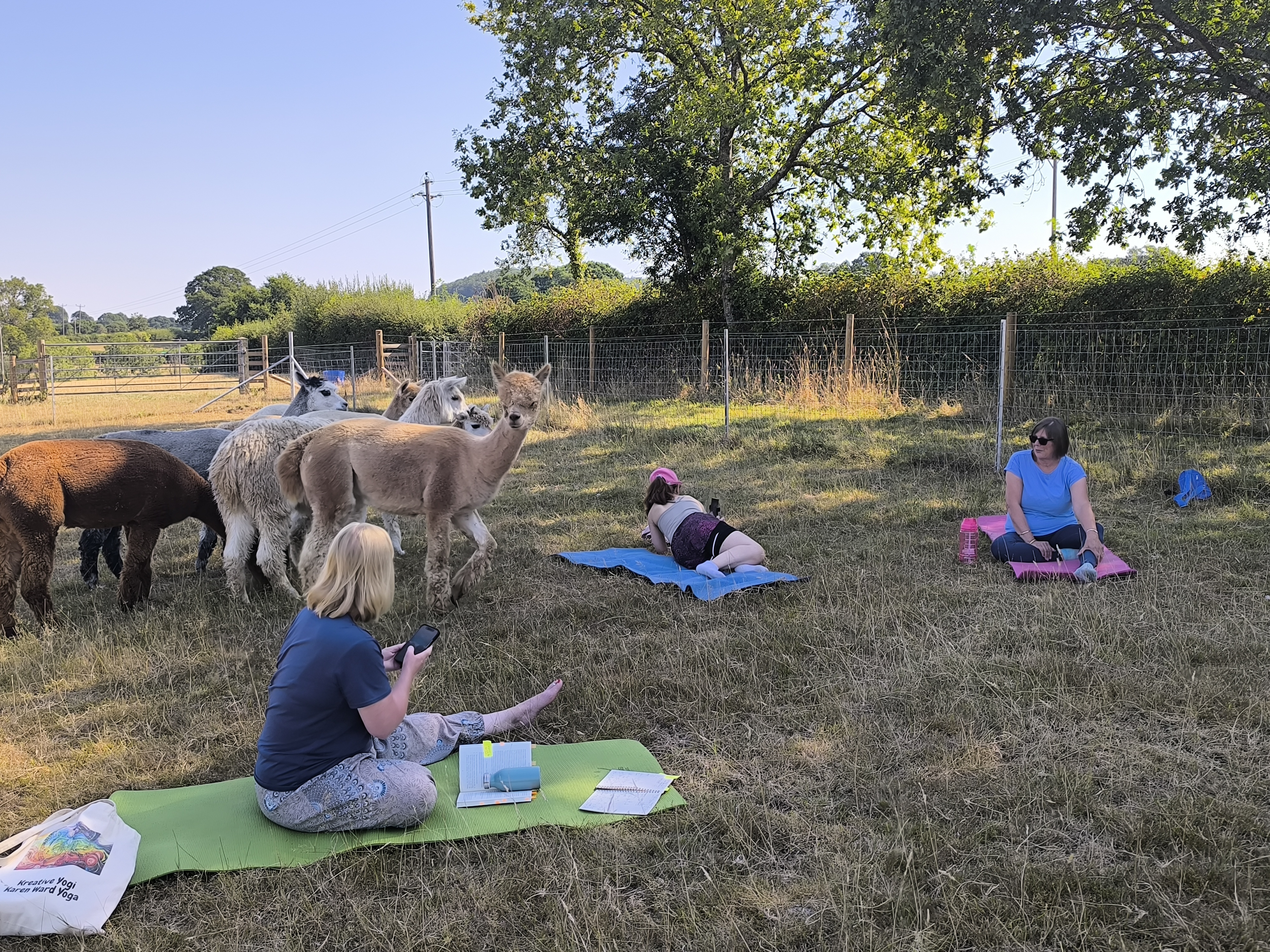 Alpaca Yoga (2 hrs)