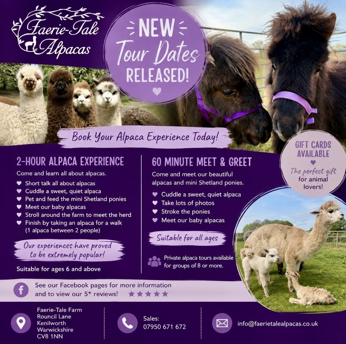 Full 2 hour Alpaca Experience
