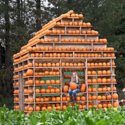 Halloween Pumpkin Picking at The Pumpkin House