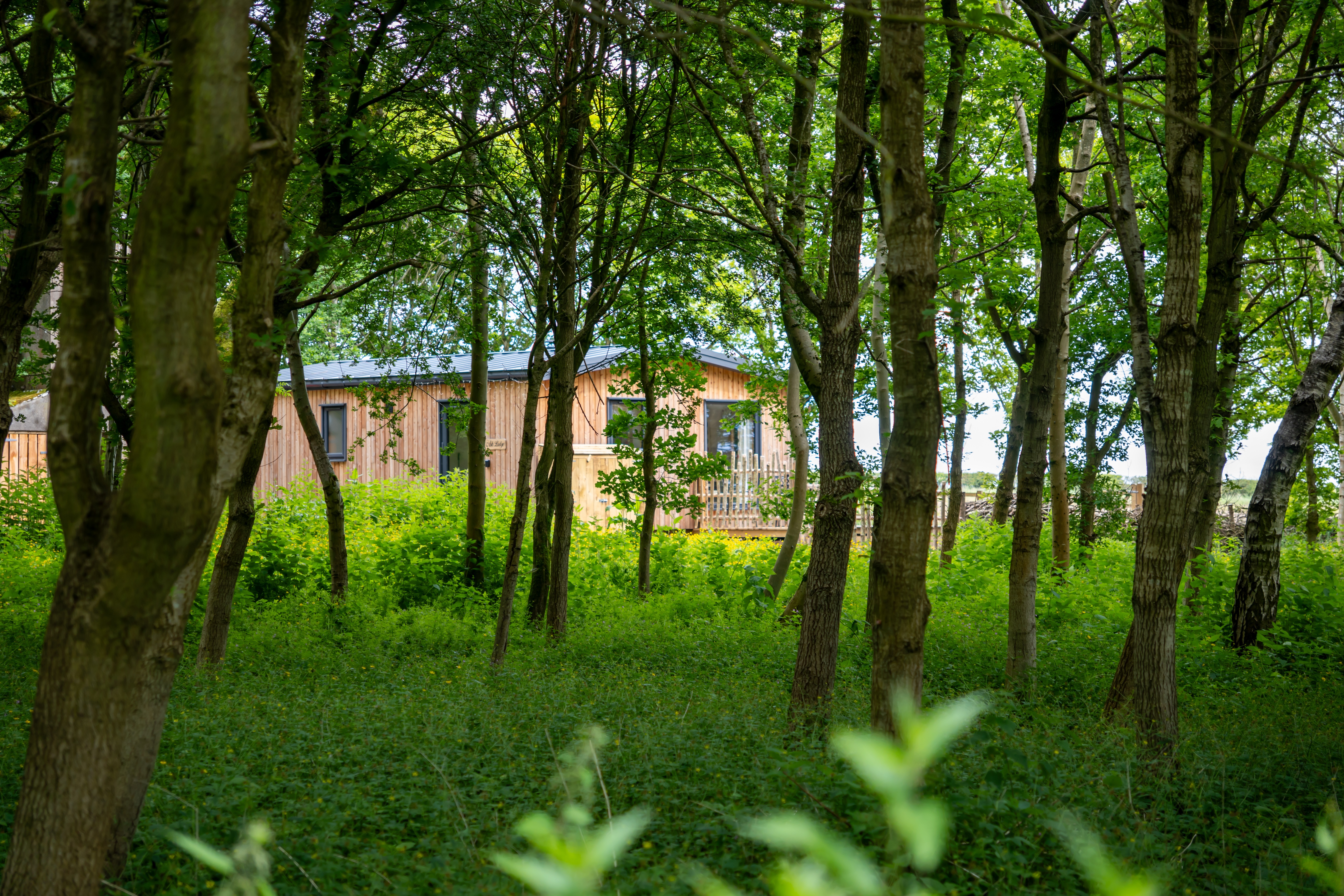 Ash Lodge