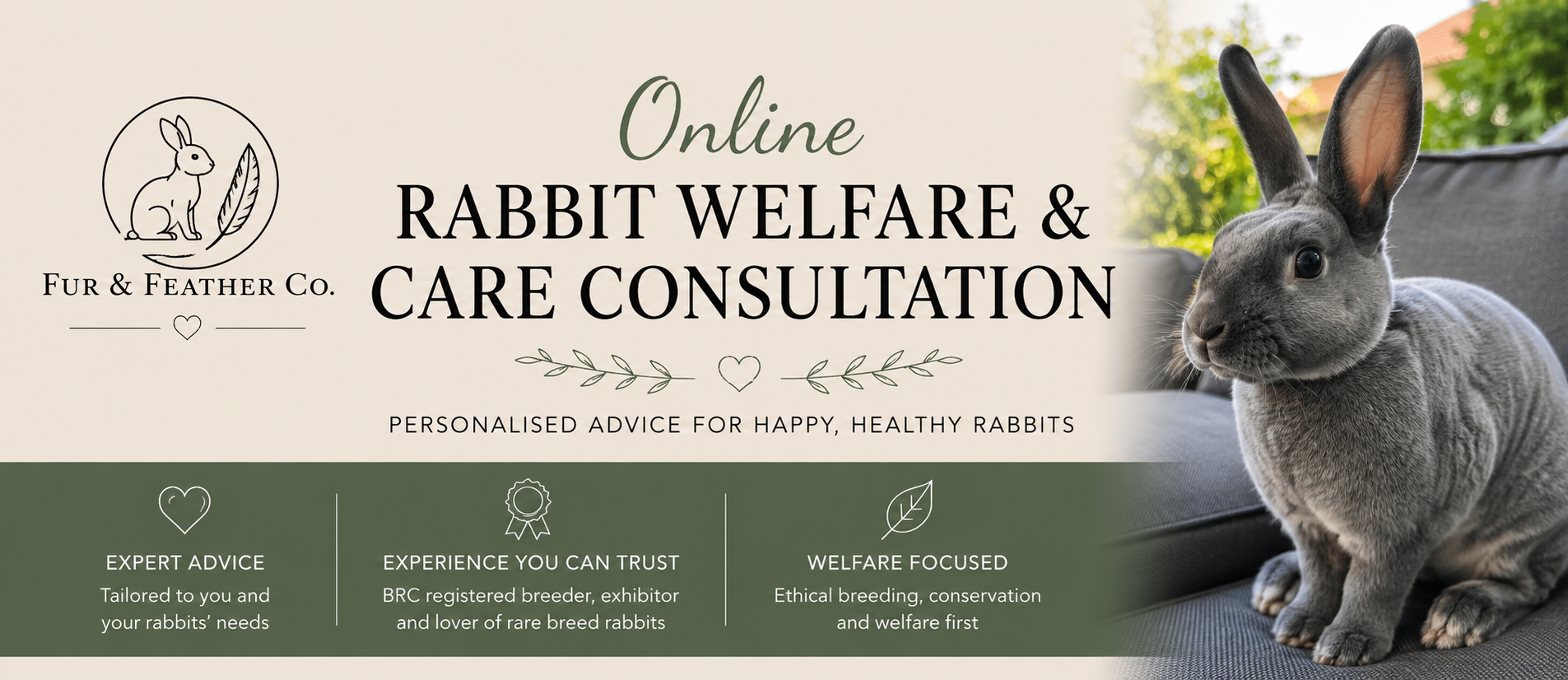 Online Rabbit Welfare & Care Consultation