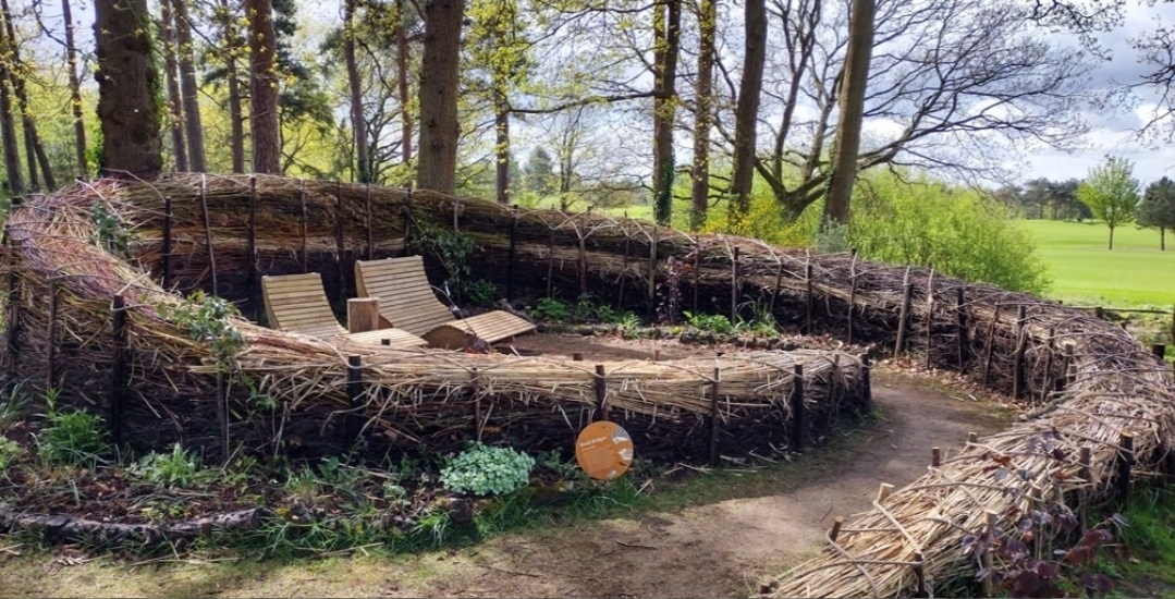 Woodland Skills - dead hedging