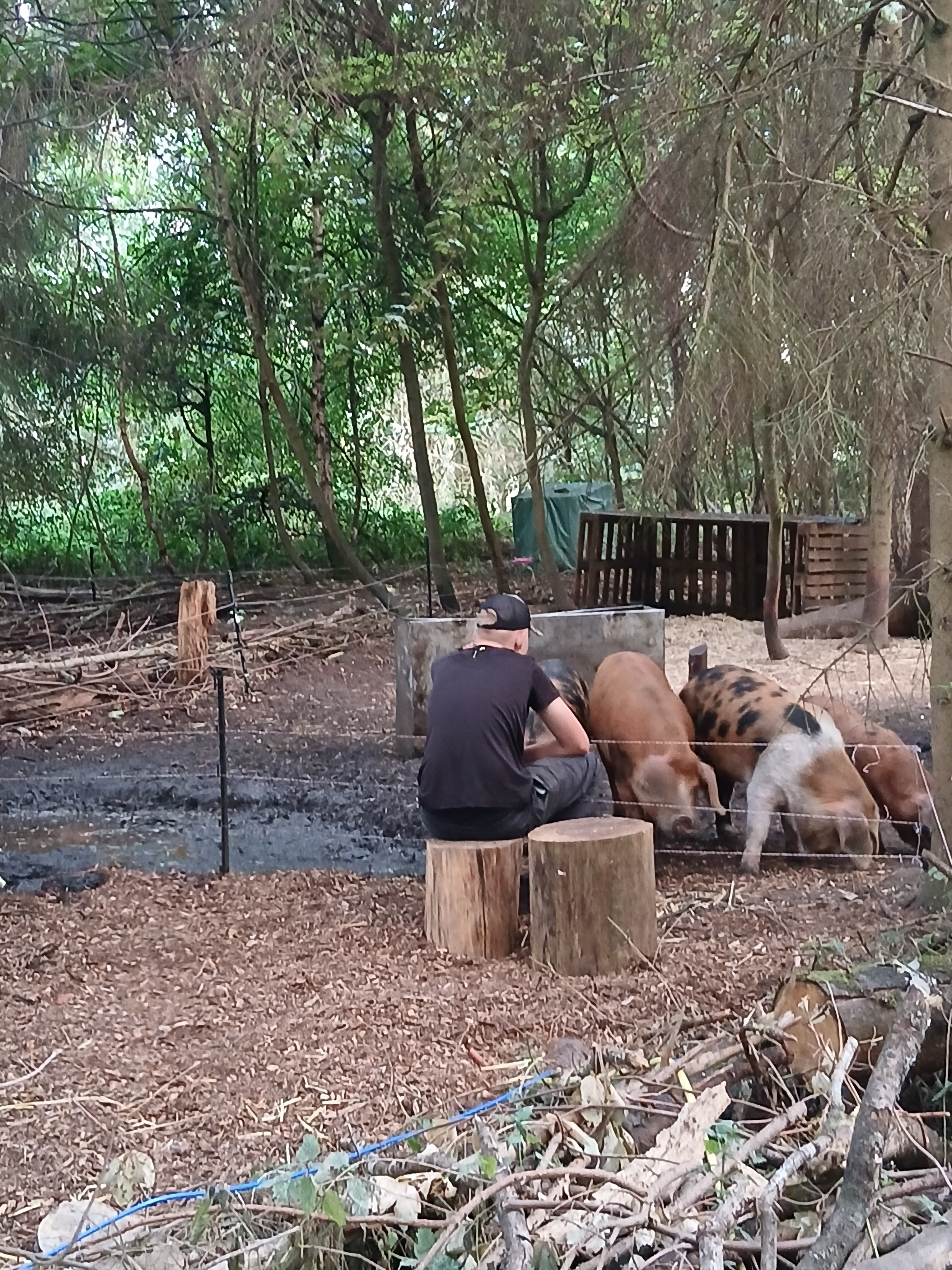 Animal encounters