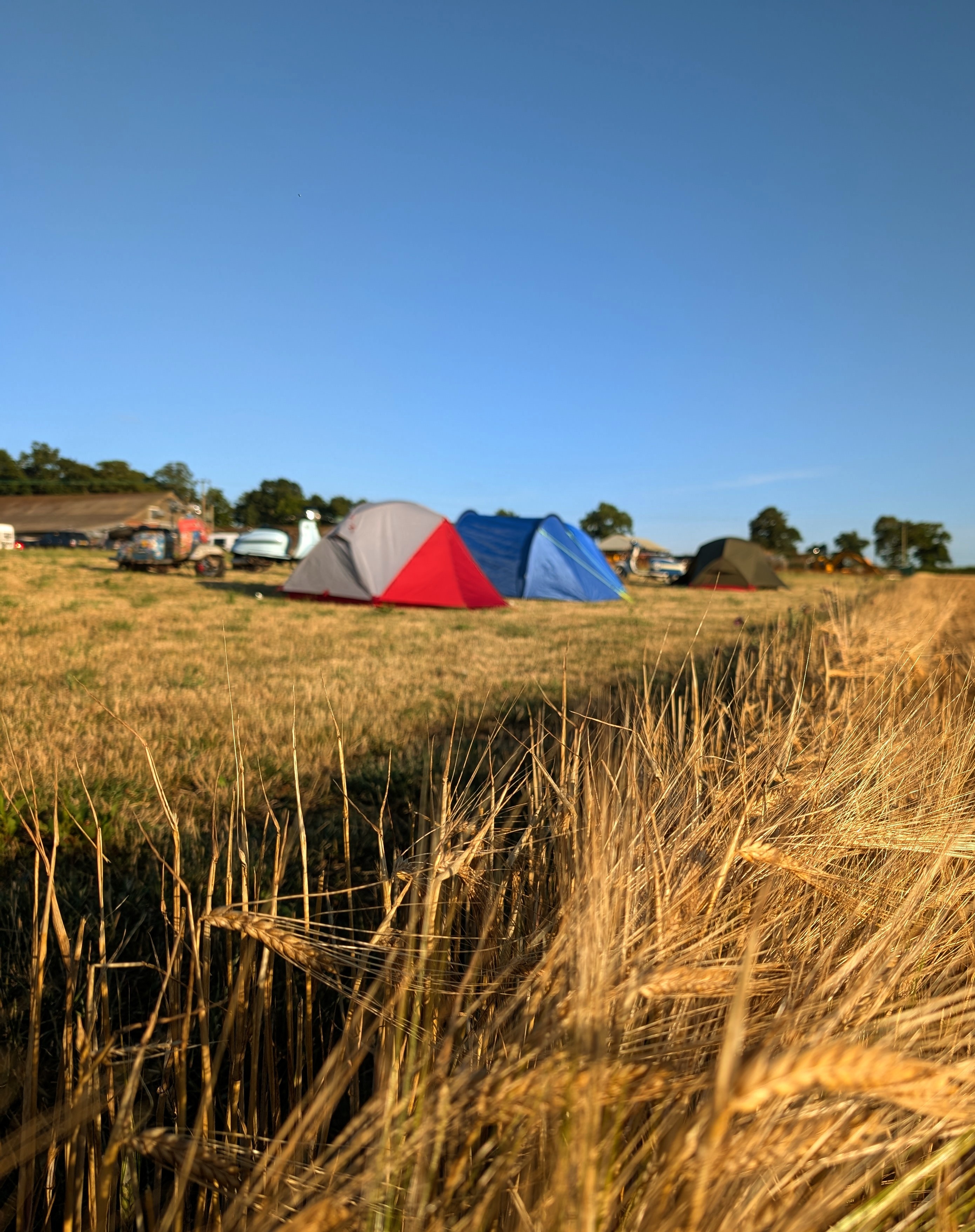 The Farm Camping