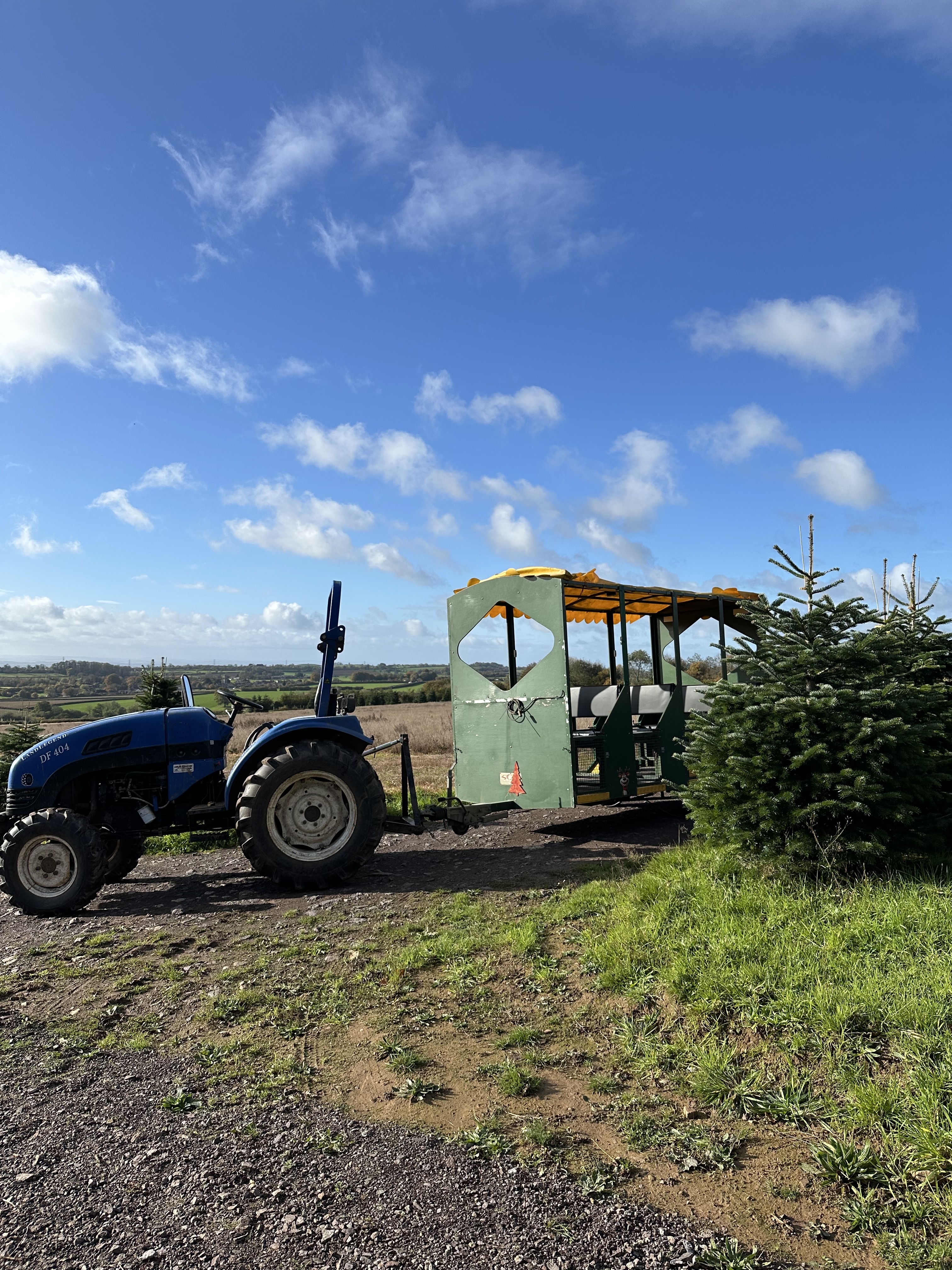 Early bird Christmas tree reservation