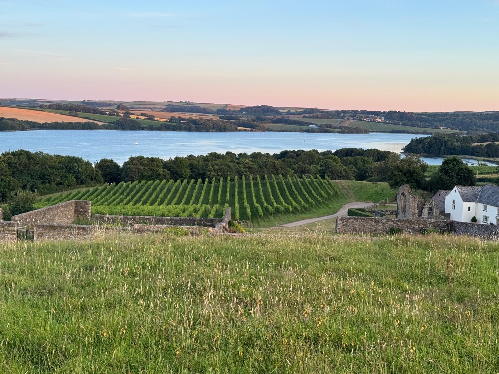 Shillingham Vineyard Tour & Tasting