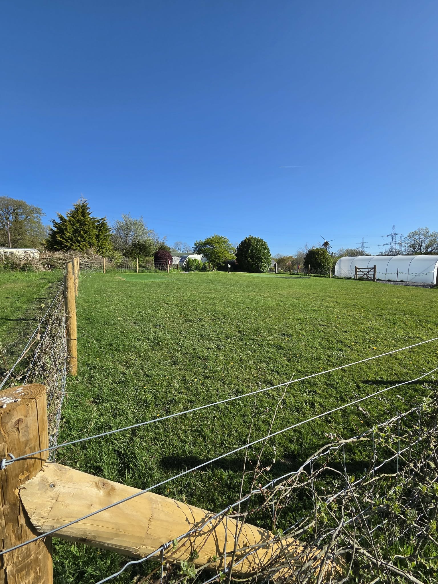 Private Enclosed Camping Pitch
