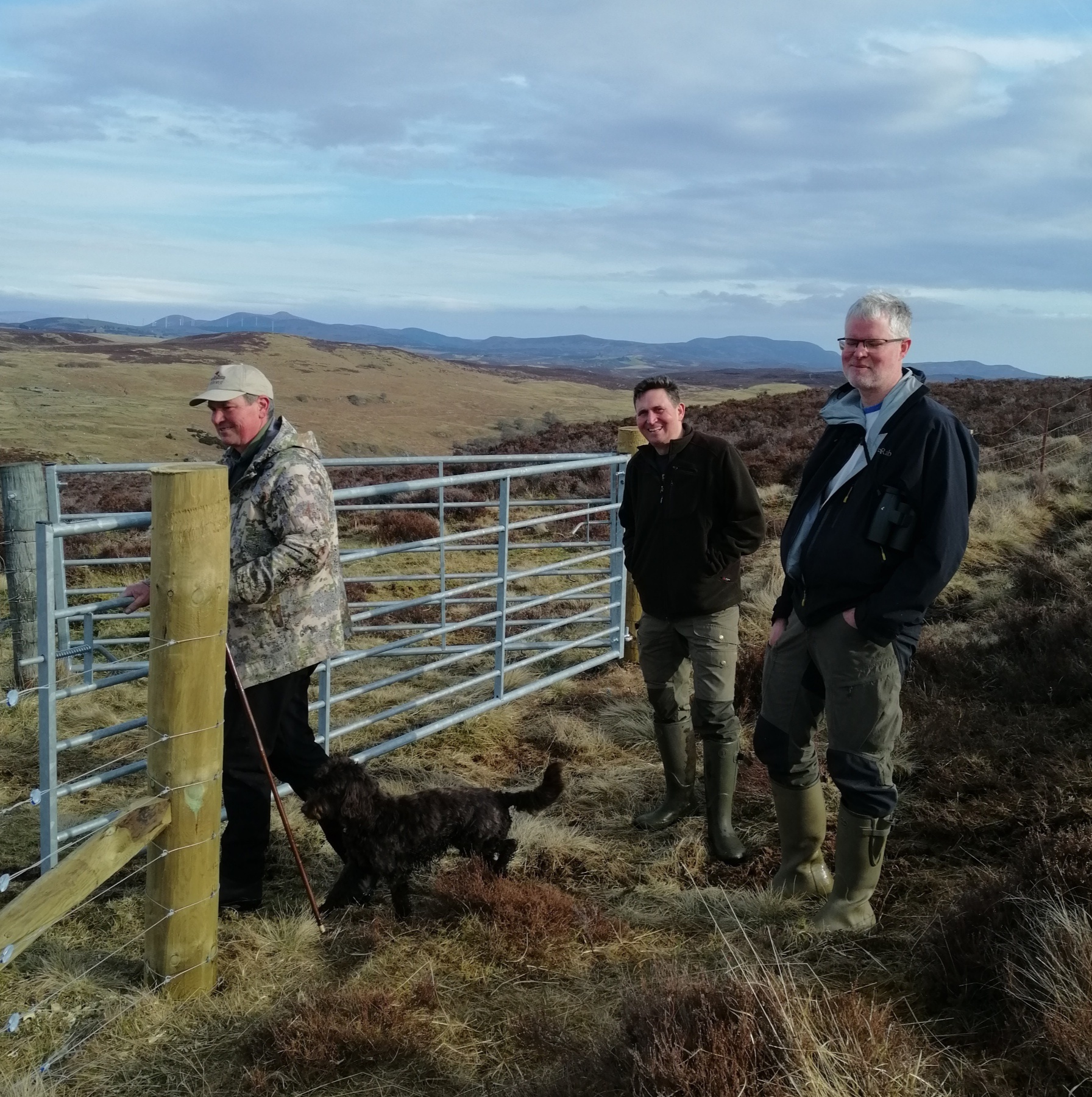 A guided scenic walk of the hill croft to check on our cows in their highland pasture. 