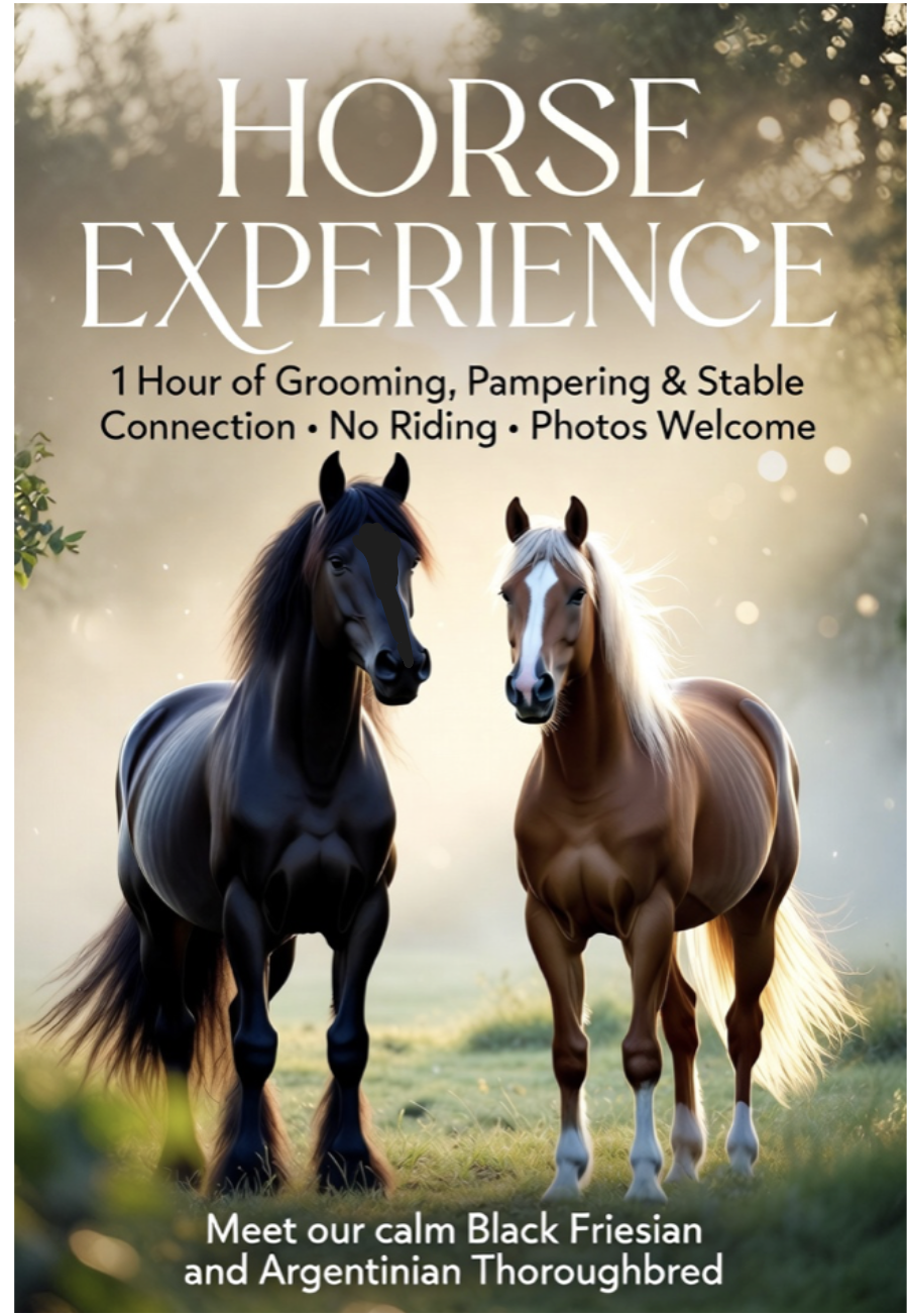 🌿 HORSE EXPERIENCE – A Calming, Healing Encounter with Gentle Giants 🌿