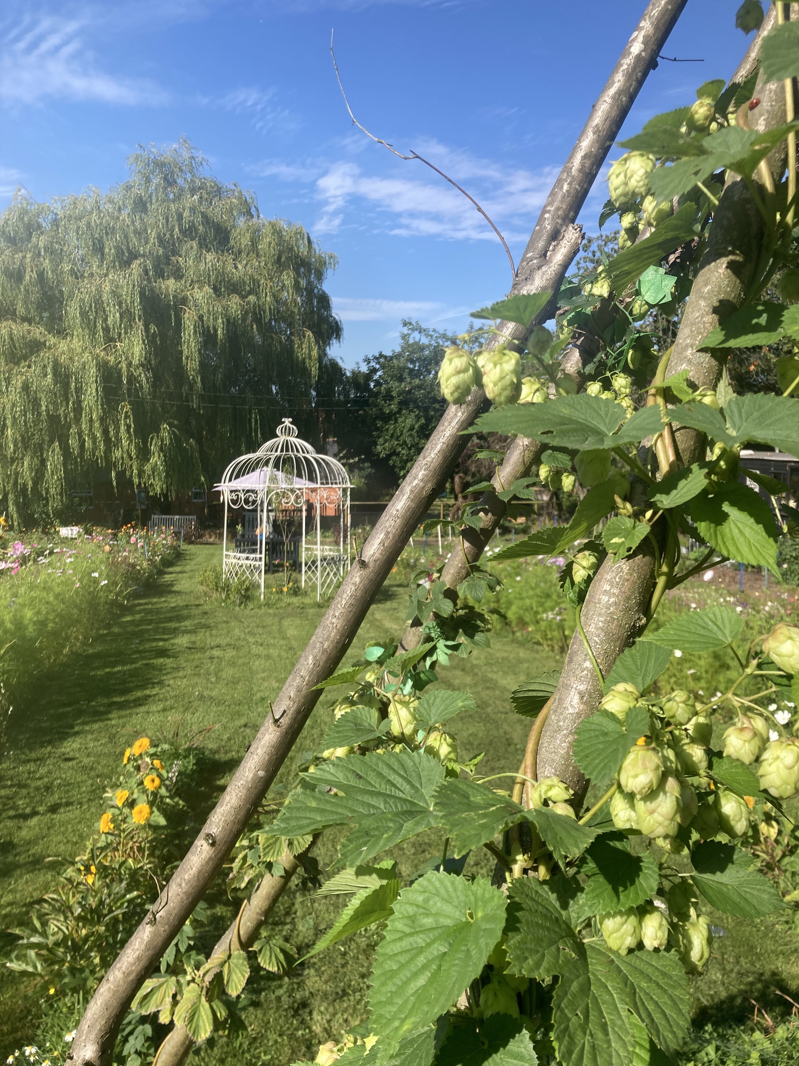 🌱 NO-DIG WORKSHOP at Benton End Flower Farm in Suffolk 🌱